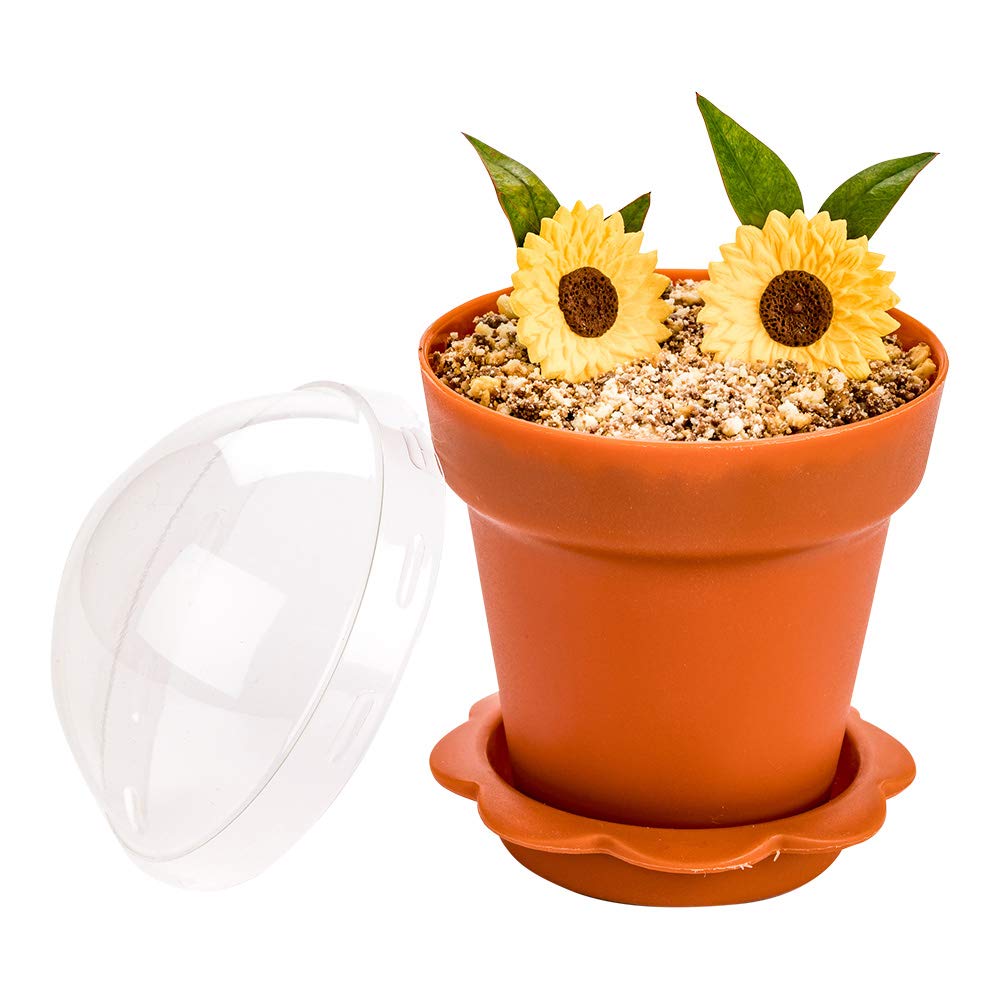 Restaurantware 6oz Disposable Brown Plastic Cupcake Flower Pots with Lids & Removable Saucer Base - 100 Pack for Baking, Desserts, Puddings & Party Serving | Eco-Friendly Cake Containers for Home, Bakery & Catering Events
