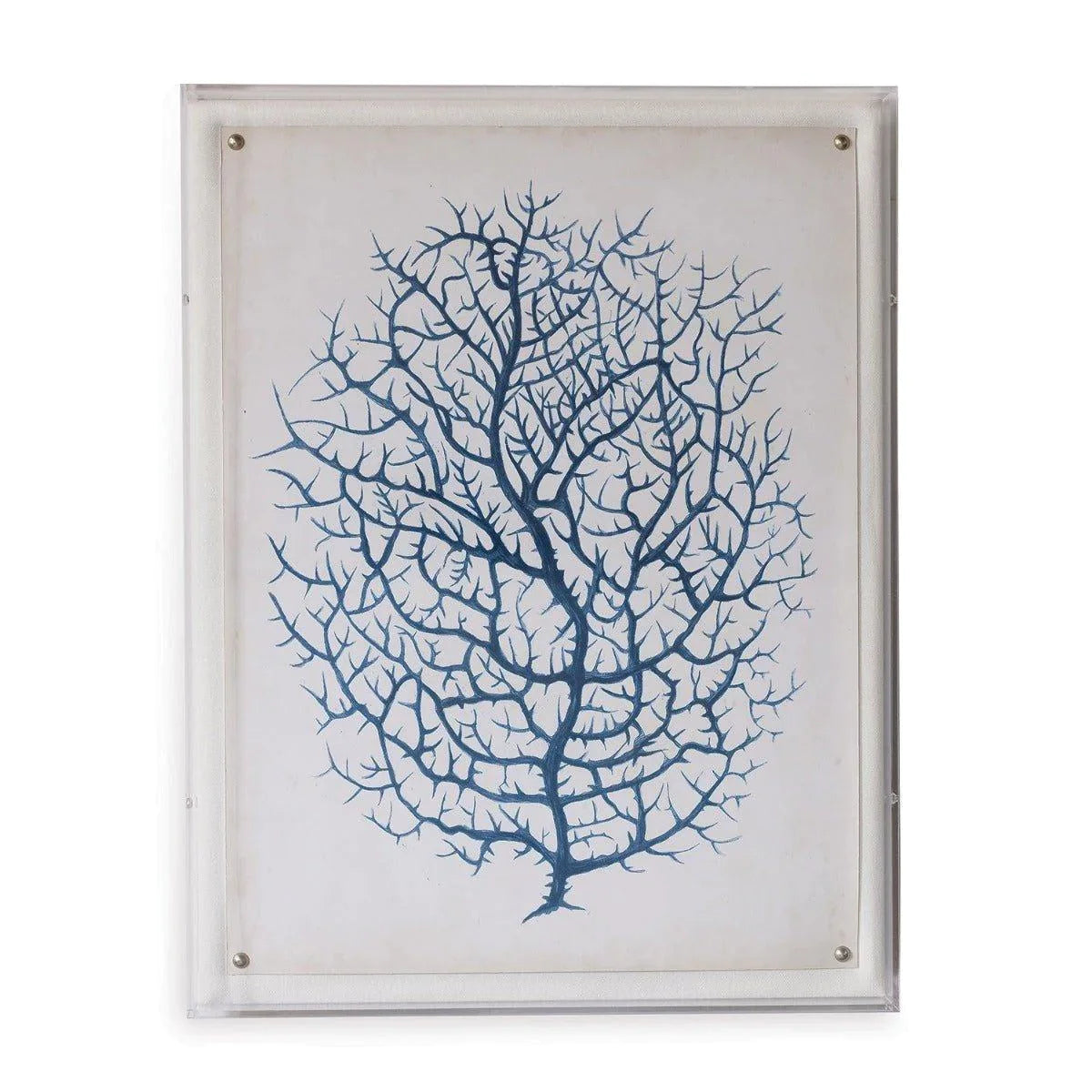 Blue Coral III Giclee Art Print in Lucite Shadow Box - Elegant Wall Decor for Living Room, Bedroom & Office