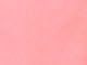 Sweet Coral