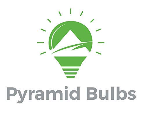 25W Wax Warmer Bulbs - Pack of 6, E12 Base Globe Incandescent Dimmable Light Bulbs for Scentsy & Full Size Wax Warmers | Perfect for Home Aromatherapy, Candle Wax Melting, and Creating Cozy Ambiance