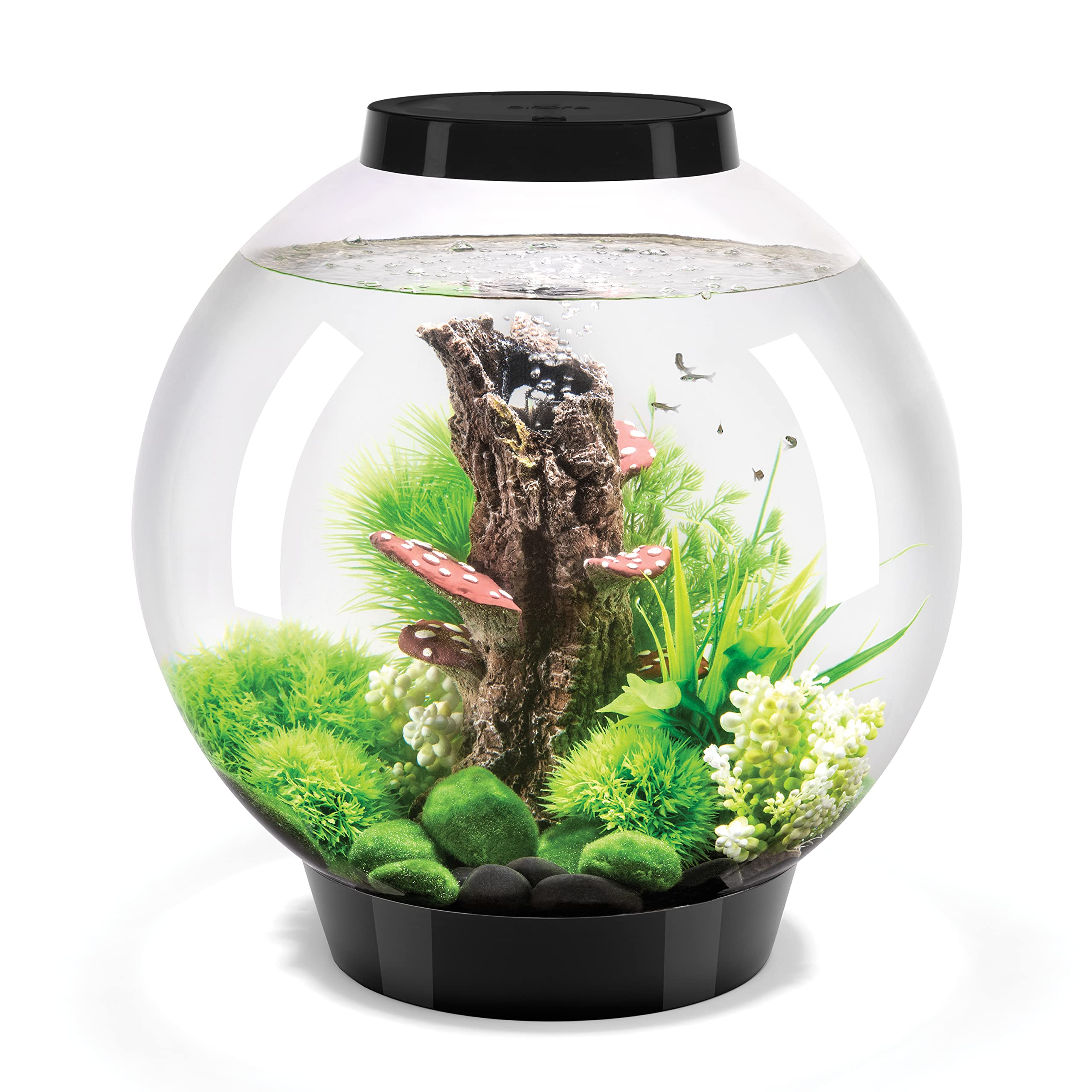 biOrb Classic 30 Acrylic 8-Gallon Aquarium with White LED Lights - Modern Tabletop Fish Tank for Home & Office Decor, Black | Perfect for Small Spaces, Living Rooms, and Desktop Displays