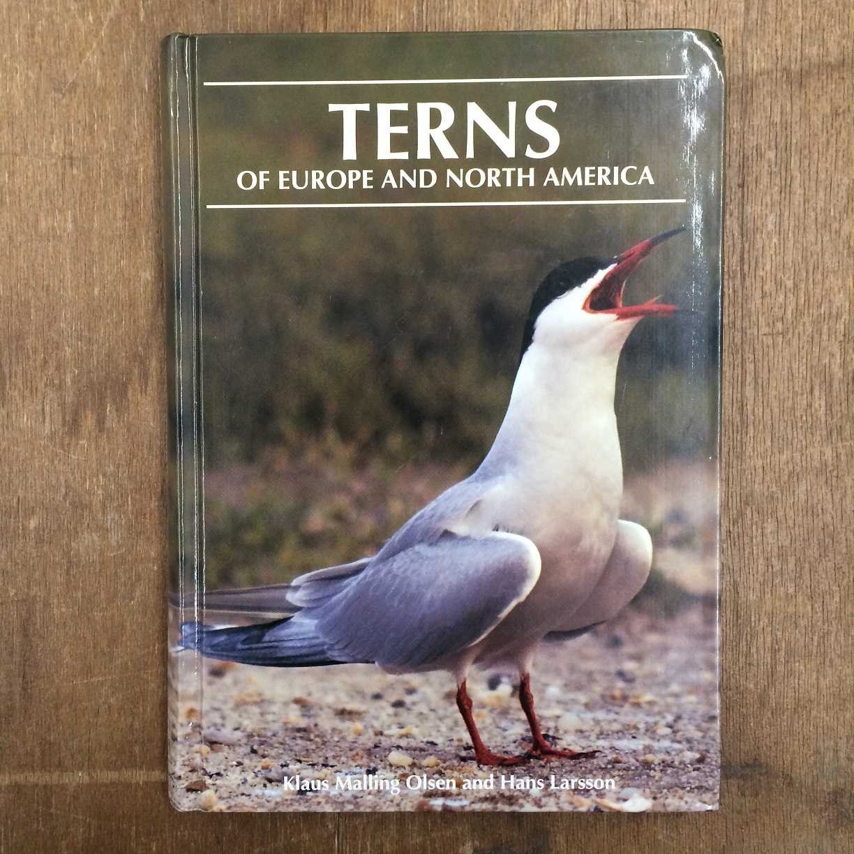 Terns of Europe and North America - Comprehensive Guide to Seabird Species for Birdwatchers & Nature Enthusiasts | Perfect for Coastal Exploration & Wildlife Photography