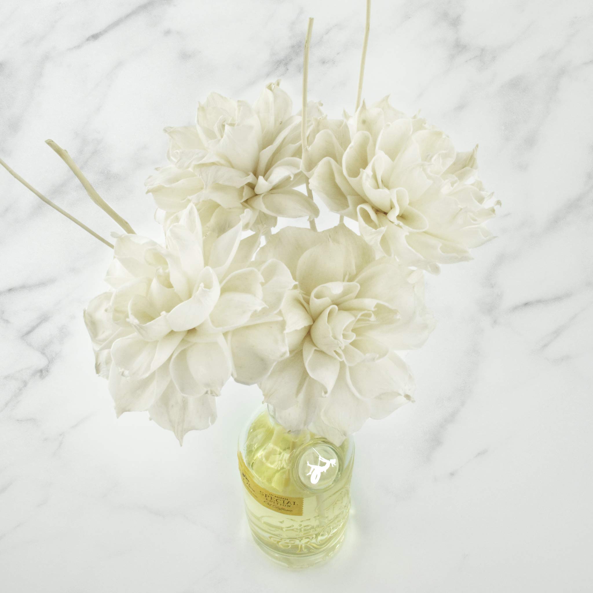 Penny & Rose Dahlia Essential Oil Diffuser | Aromatherapy Scented Candles for Home, Office & Spa Relaxation | Perfect for Stress Relief, Yoga & Meditation