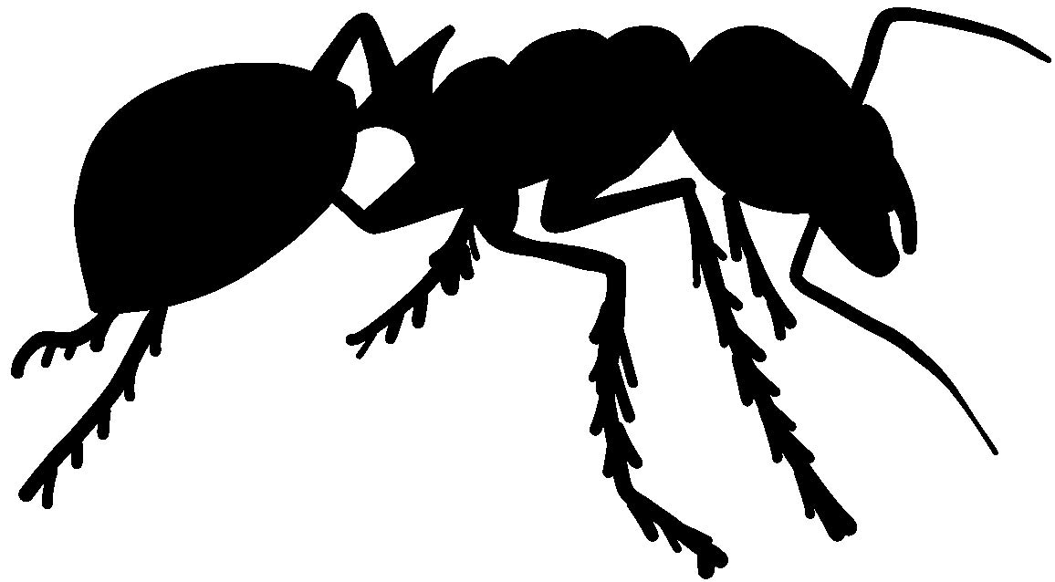 hBARSCI Ant Vinyl Decal - 5 Inch Car Stickers for Windows, Laptops, Tablets - 2.5mm Thick Outdoor Vinyl - Black - Perfect for Car Decoration, Laptop Customization & Home Decor