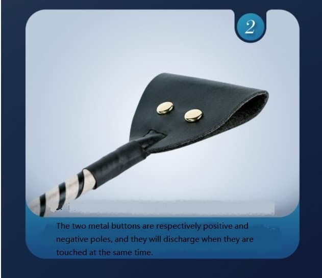 BDSM Electric Shock Whip - Leather Bondage Training Whip with Adjustable Intensity for Adults - Perfect for BDSM Play, Spanking, and Sensation Play in the Bedroom