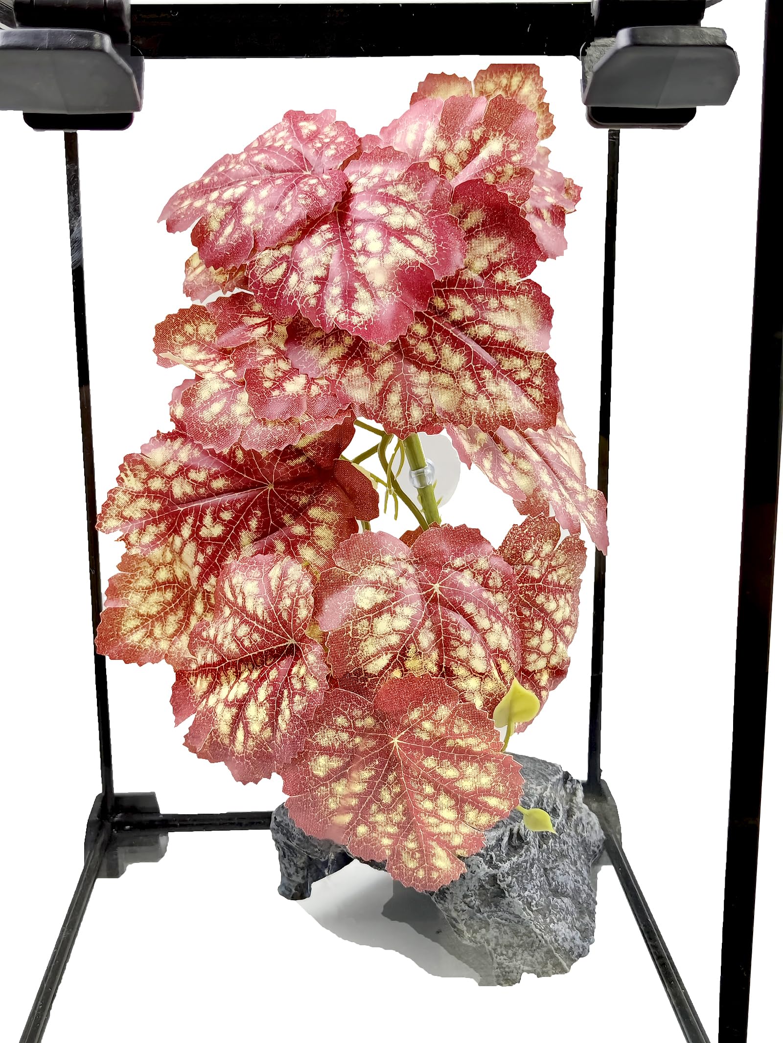 Woyrise 2PCS Pink Heuchera Reptile Plants - Terrarium Hanging Vines with Suction Cups for Bearded Dragons, Lizards, Snakes, Geckos & Frogs | Natural Habitat Decor for Reptile Tanks & Amphibian Enclosures | Perfect for Jungle-Themed Terrariums & Bioactive Vivariums