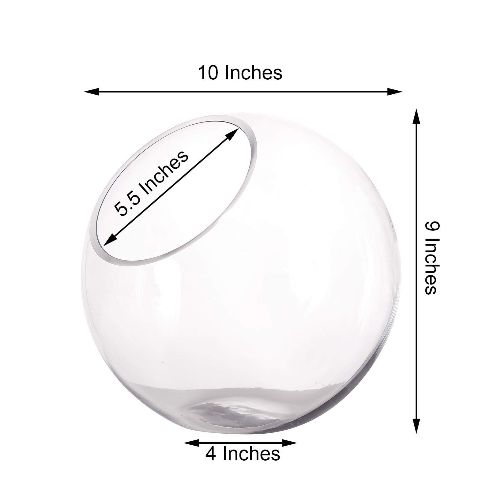 9-Inch Tall Slanted Clear Glass Vase Terrarium for Wedding Centerpieces, Party Decor, Home & Event Decorations - Perfect for Floral Arrangements, Succulent Displays, and Tabletop Decor
