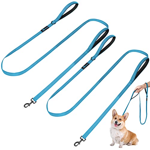 Blue 2 Pack