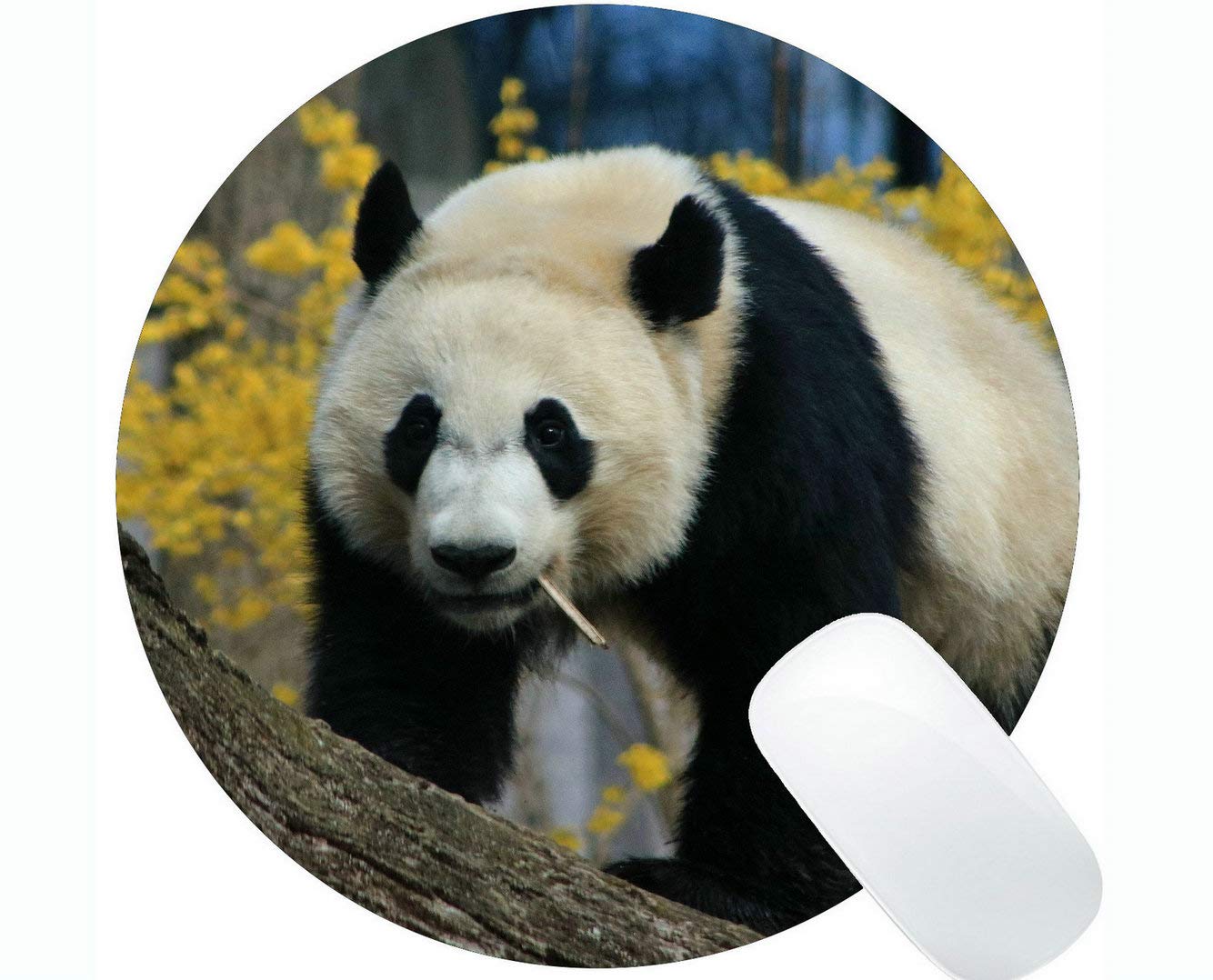 Premium Gaming Mouse Pad with Stitched Edge - Giant Panda Wildlife Design, Non-Slip Rubber Base Round Mouse Mat for PC, Laptop & Computer - Perfect for Gamers, Office & Home Use