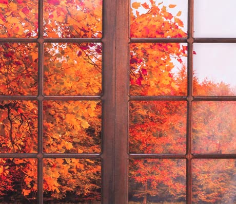 8x8ft Autumn Leaves Photography Backdrop - Fall Foliage Window Scenery Background for Photo Studio, Home Decor & Seasonal Party Decorations | Perfect for Halloween, Thanksgiving & Autumn Photoshoots