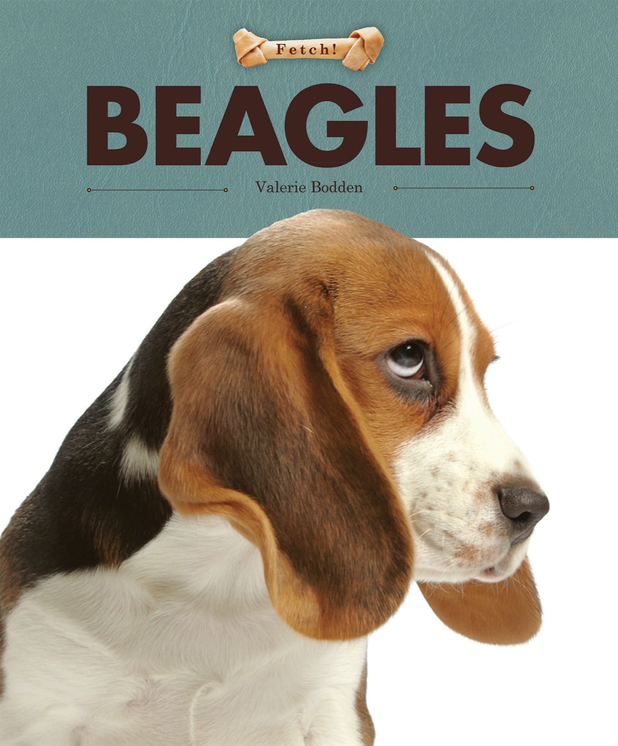 Beagles Book - 9781608183609 | Dog Training, Pet Care & Breed Guide for Beagle Lovers | Perfect for Gifts & Dog Owners