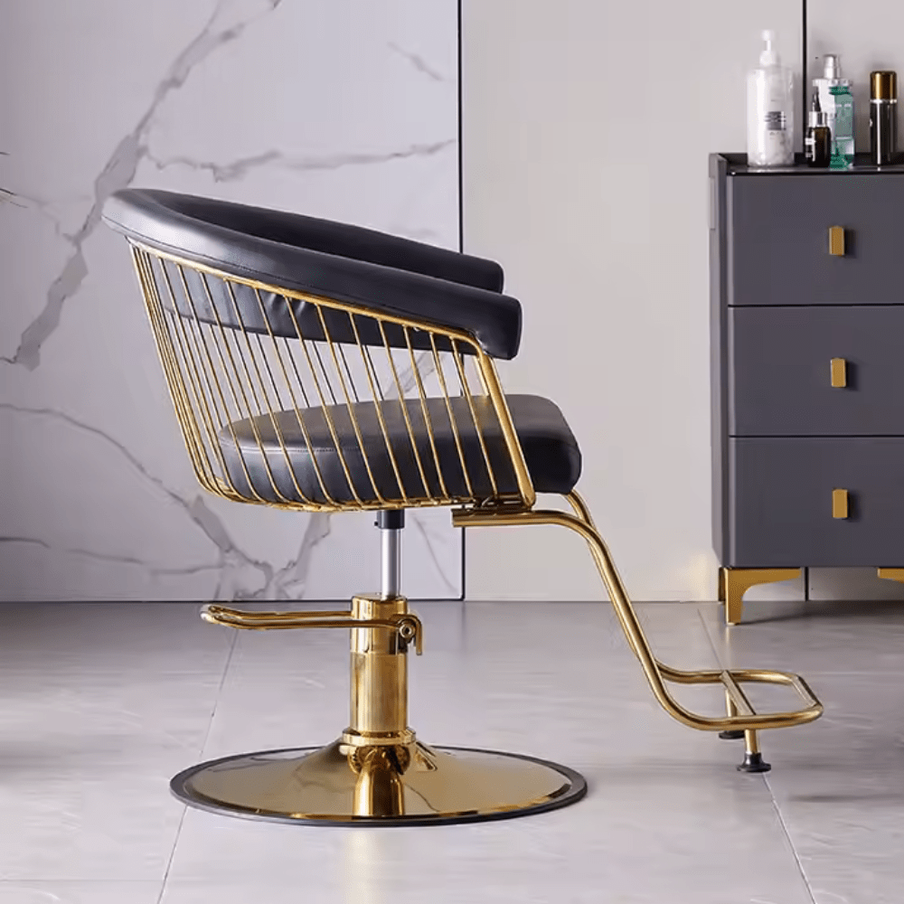 Professional Adjustable Salon Styling Chair - Hydraulic Hairdresser Chair with 360° Swivel & Footrest - Perfect for Barber Shops, Beauty Salons & Home Hair Styling