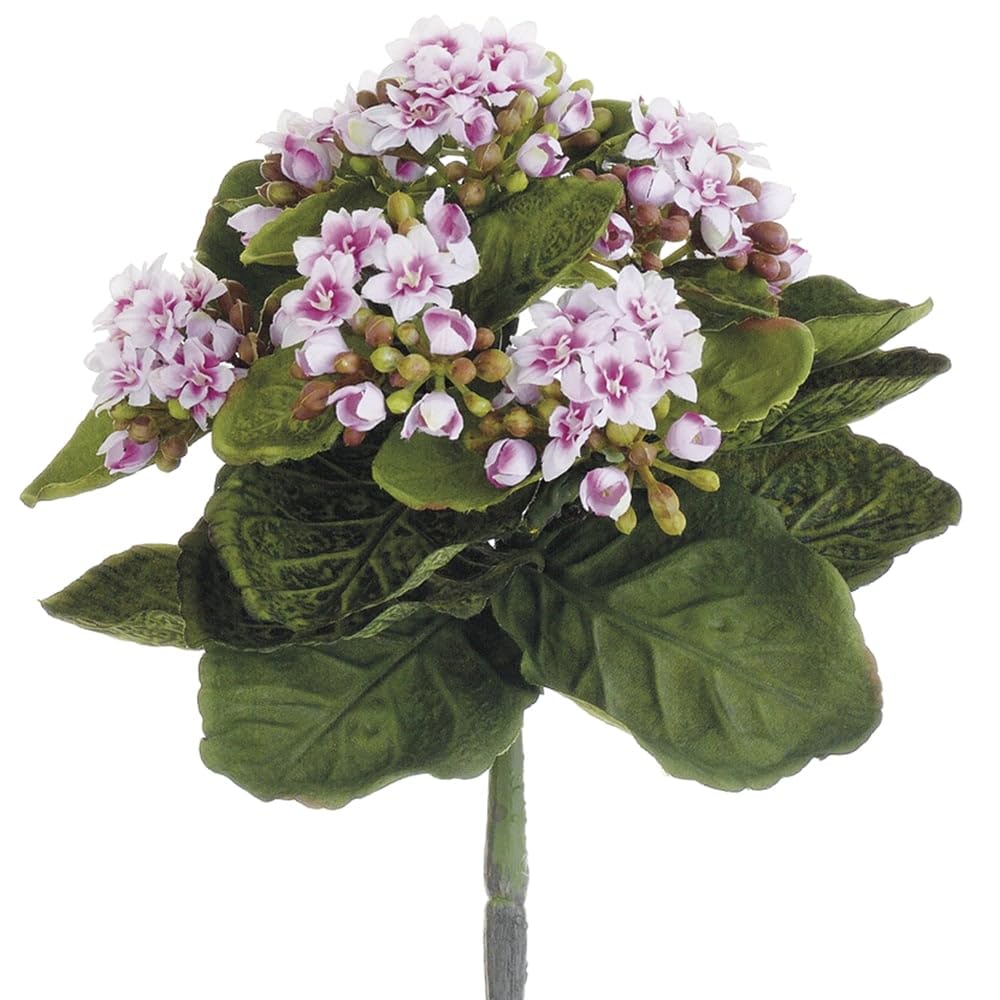 9 Inch Mini Kalanchoe Bush Pink - Pack of 12 Live Succulent Plants for Home Decor, Office Desk, Wedding Centerpieces & Gift Ideas