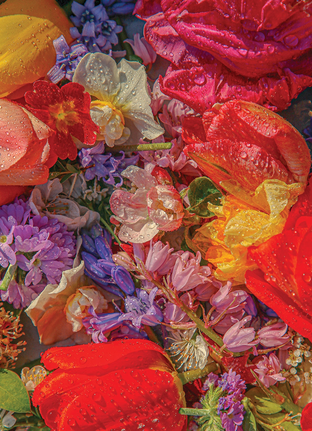 Blossom 1000 Piece Jigsaw Puzzle for Adults - Beautiful Floral Landscape Puzzle Game for Family Fun & Stress Relief - Perfect for Home Decor, Gifts, and Relaxation Activities