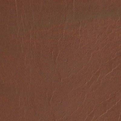Cocoa