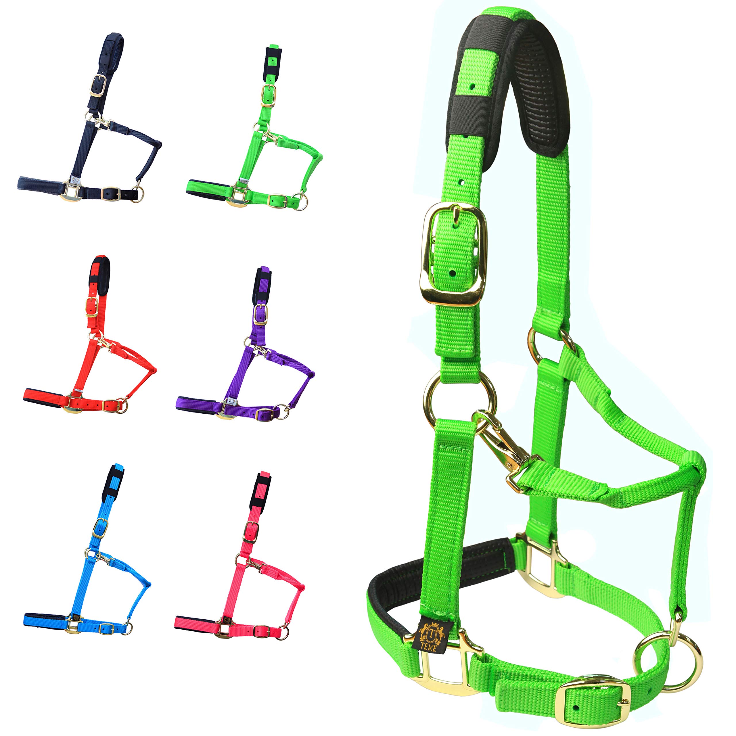 Durable Adjustable Horse Halter - Heavy Duty Soft Nylon with Padded Anti-Rubbing Waffle Neoprene for Crown & Nose | Comfortable Equestrian Training Gear for Riding, Grooming & Stable Use