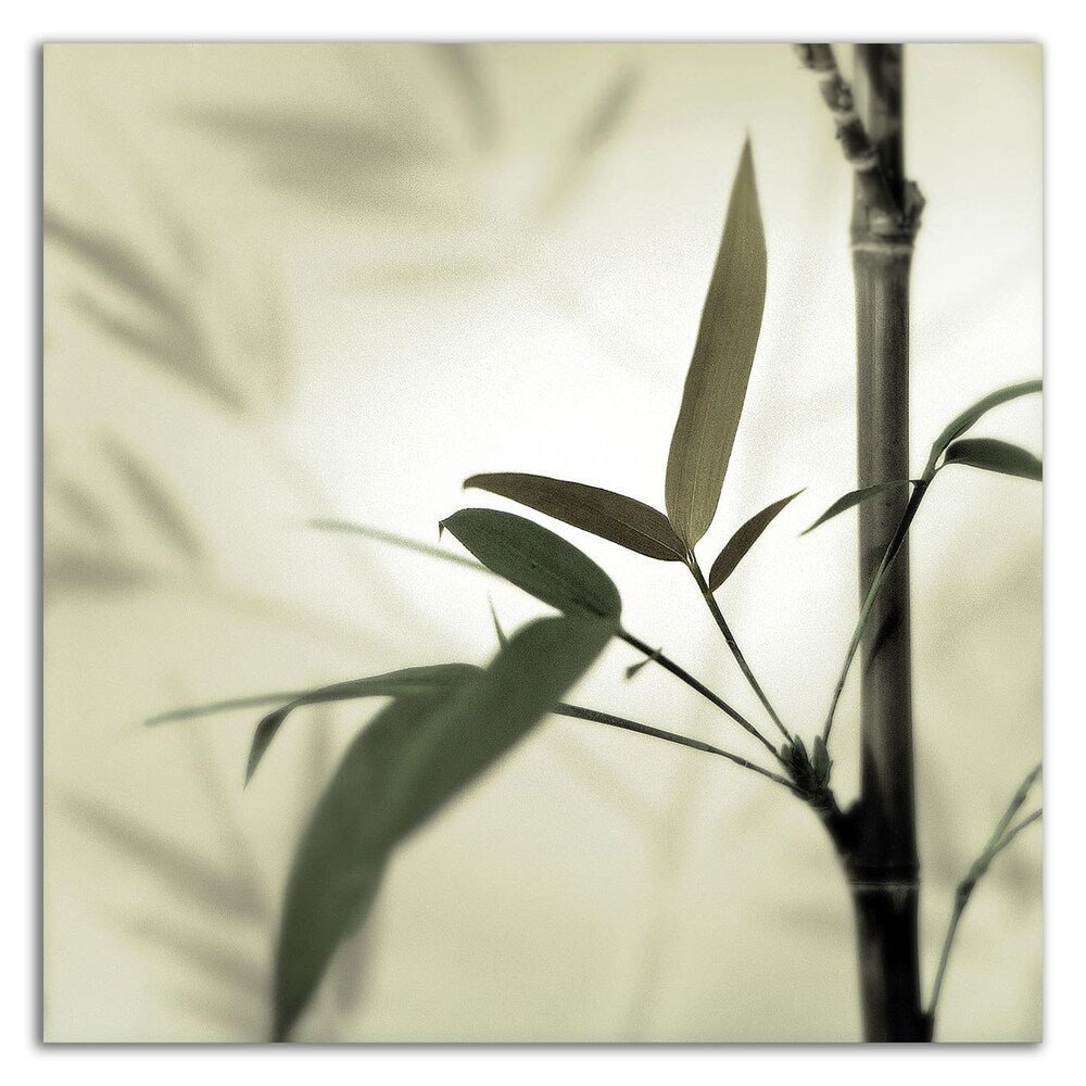 Bamboo 1 by Alan Blaustein - Premium Canvas Wall Art Print - Ready to Hang - Modern Home & Office Decor for Living Room, Bedroom or Office