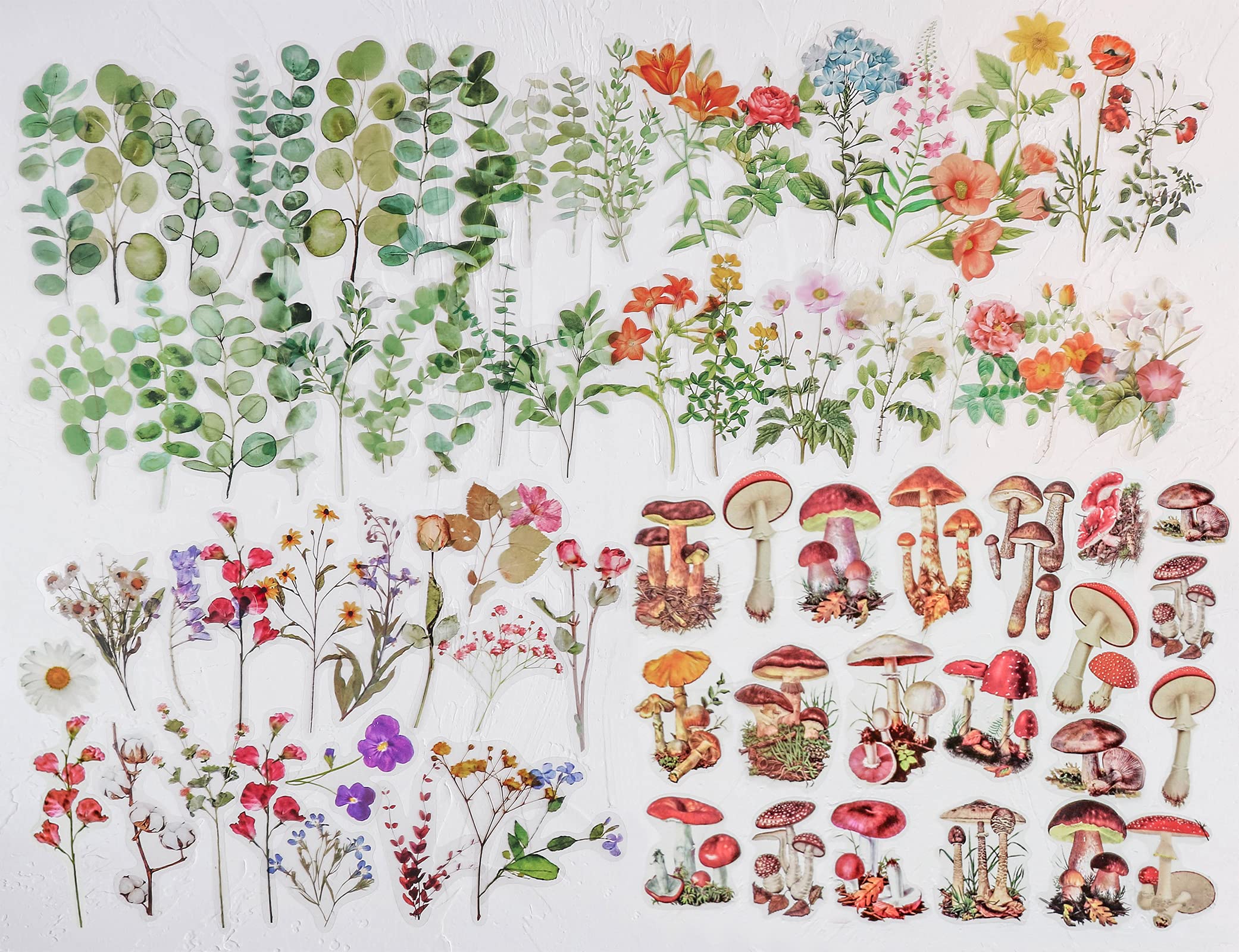 Premium Knaid Flower Eucalyptus Plant Stickers Set - 160 PET Transparent Waterproof Decals for Scrapbooking, DIY Crafts, Bullet Journaling | Perfect for Planners, Water Bottles, Phone Cases & Laptop Decoration | Home Office & School Supplies