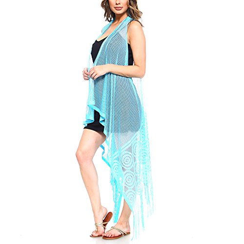 Fv01-blue