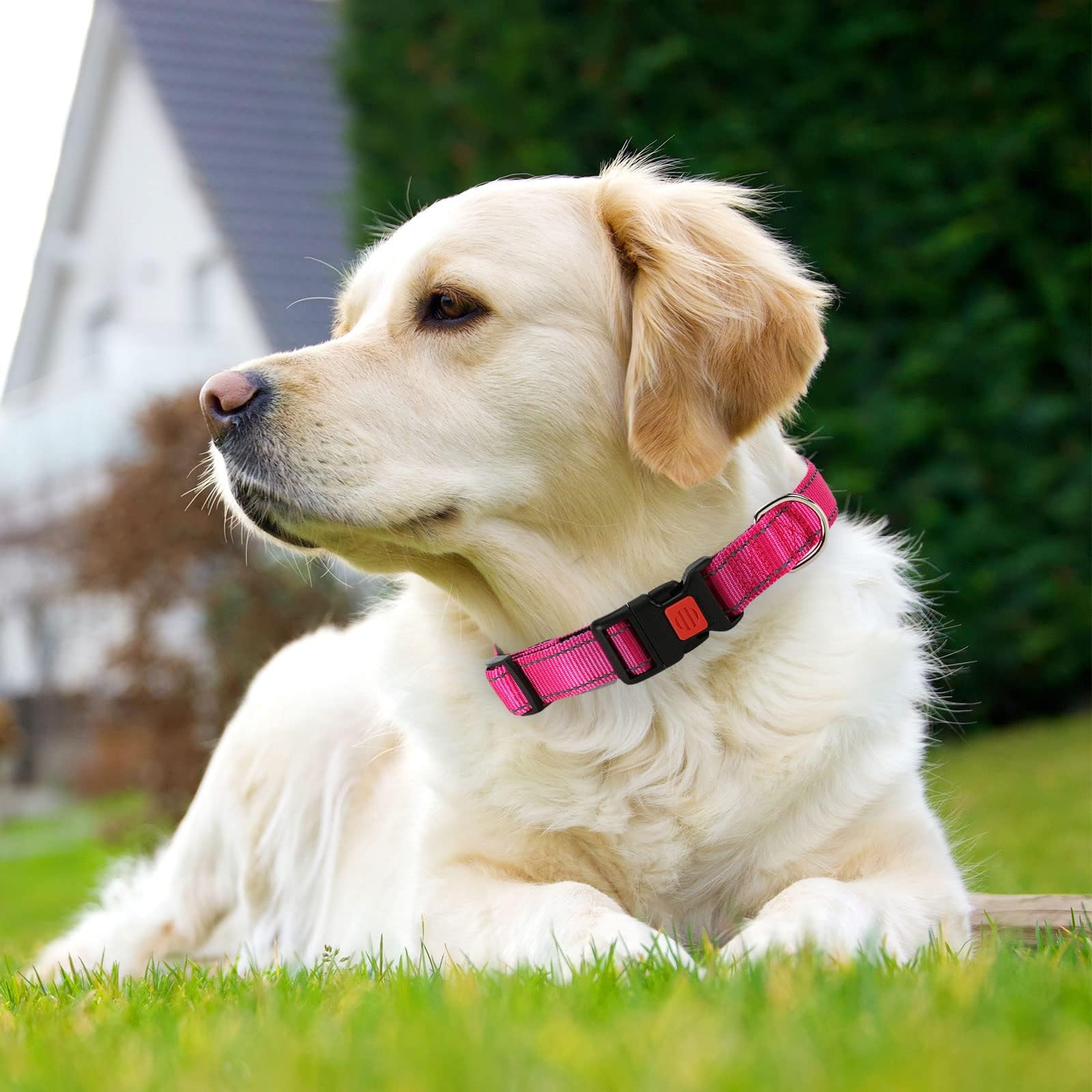 Reflective Adjustable Dog Collar - Ultra Soft Breathable Neoprene Pet Collar with Quick Release Buckle for Puppy, Small, Medium & Large Dogs - Perfect for Night Walks, Jogging & Outdoor Adventures
