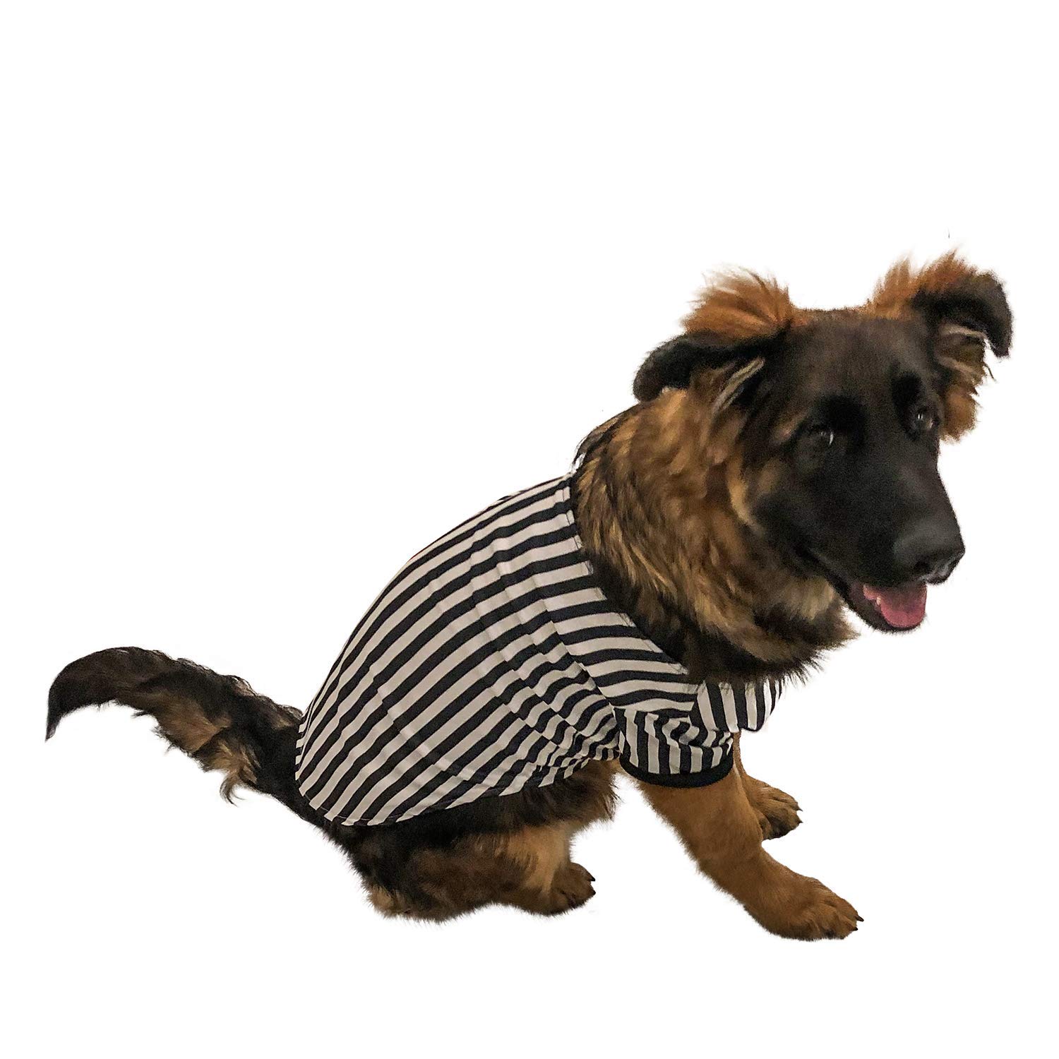 Midlee Referee Dog Halloween Costume for Small Dogs - Perfect for Pet Parties, Halloween Trick or Treat & Funny Photo Shoots