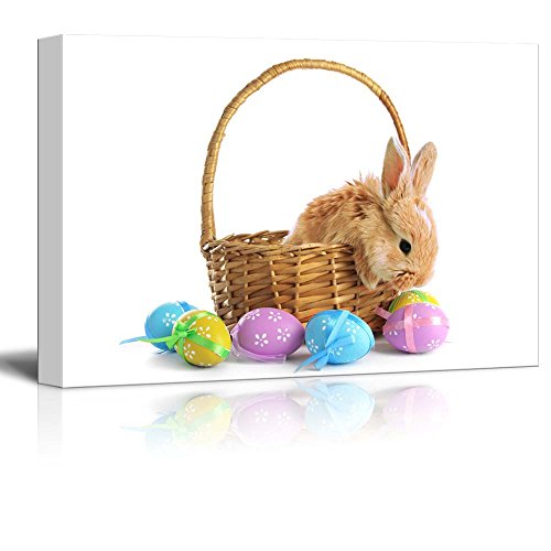 Fluffy Foxy Rabbit