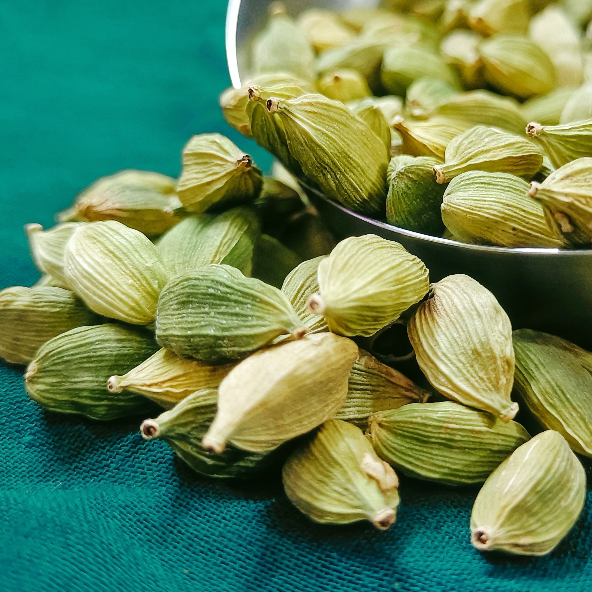 Pure Cardamom Essential Oil 100% Natural for Aromatherapy, Diffuser & Massage | USDA Certified Organic | Stress Relief & Digestion Aid