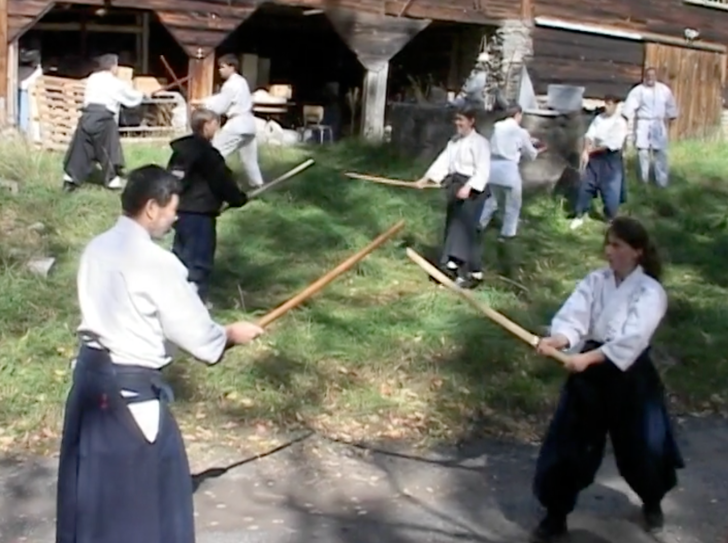 Seiichi Sugano Aikido Weapons Training DVD with Transcript Booklet - Learn Aikido Techniques for Self-Defense & Martial Arts Practice at Home