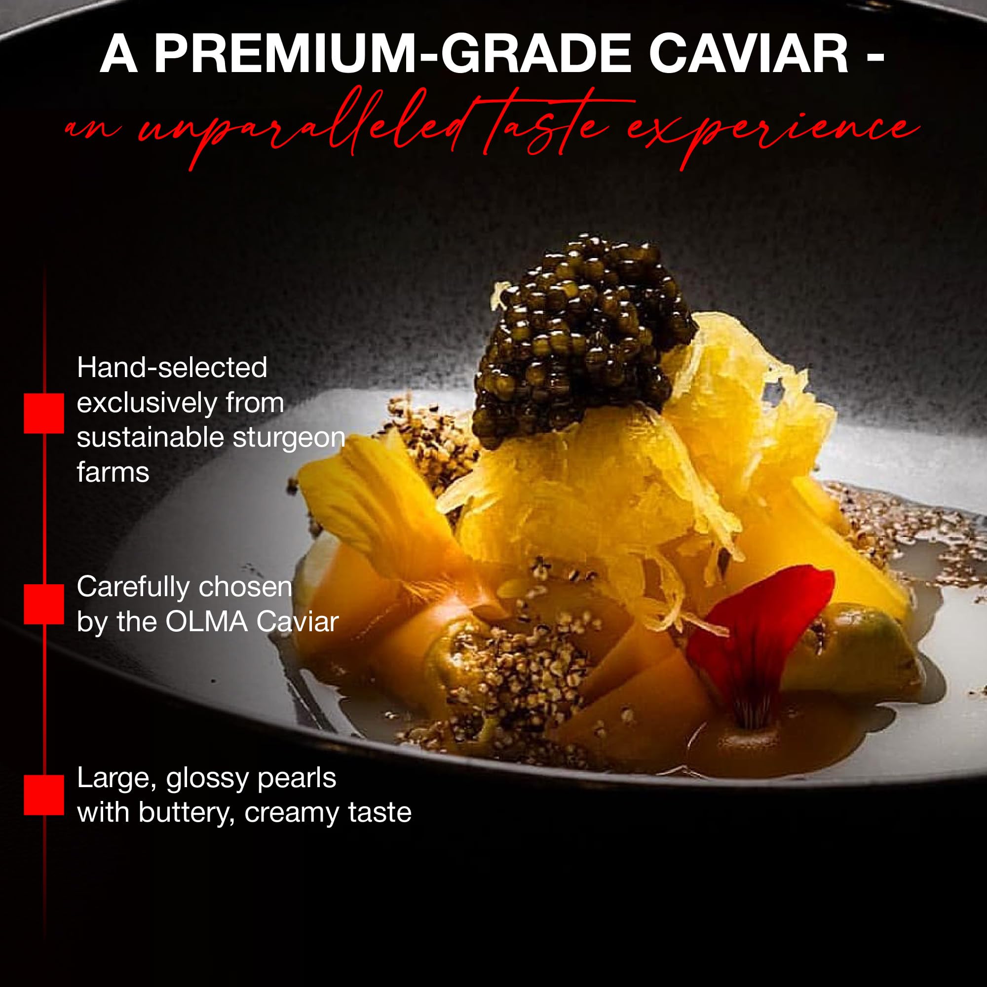 Premium OLMA Kaluga Sturgeon Black Caviar - Large Pearly Grains, Smooth Flavor, Superior Grade (4.4 oz/125g) - Fast Overnight Shipping - Perfect for Gourmet Dining, Special Occasions & Luxury Gifts
