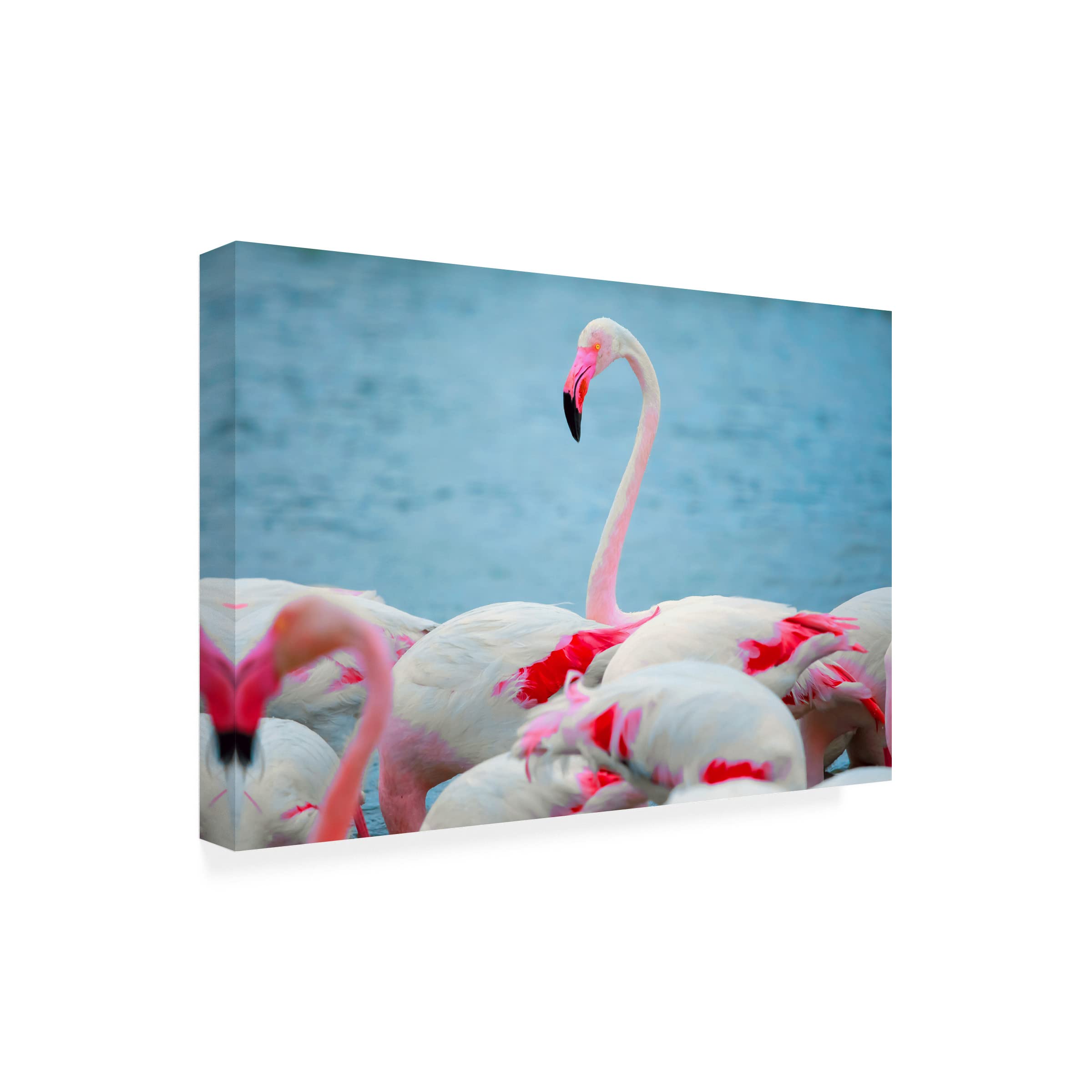 Trademark Fine Art 'Flamboyant Of Flamingos 4' Canvas Wall Art Print by Ben Heine - Tropical Pink Flamingo Painting for Living Room, Bedroom & Office Decor