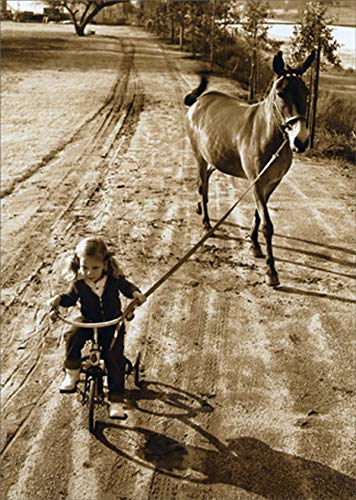 Avanti Press Little Girl with Mule on Leash - America Collection Feminine Goodbye Greeting Card for Women | Thoughtful Farewell Gift for Her | Perfect for Friends, Coworkers & Special Occasions