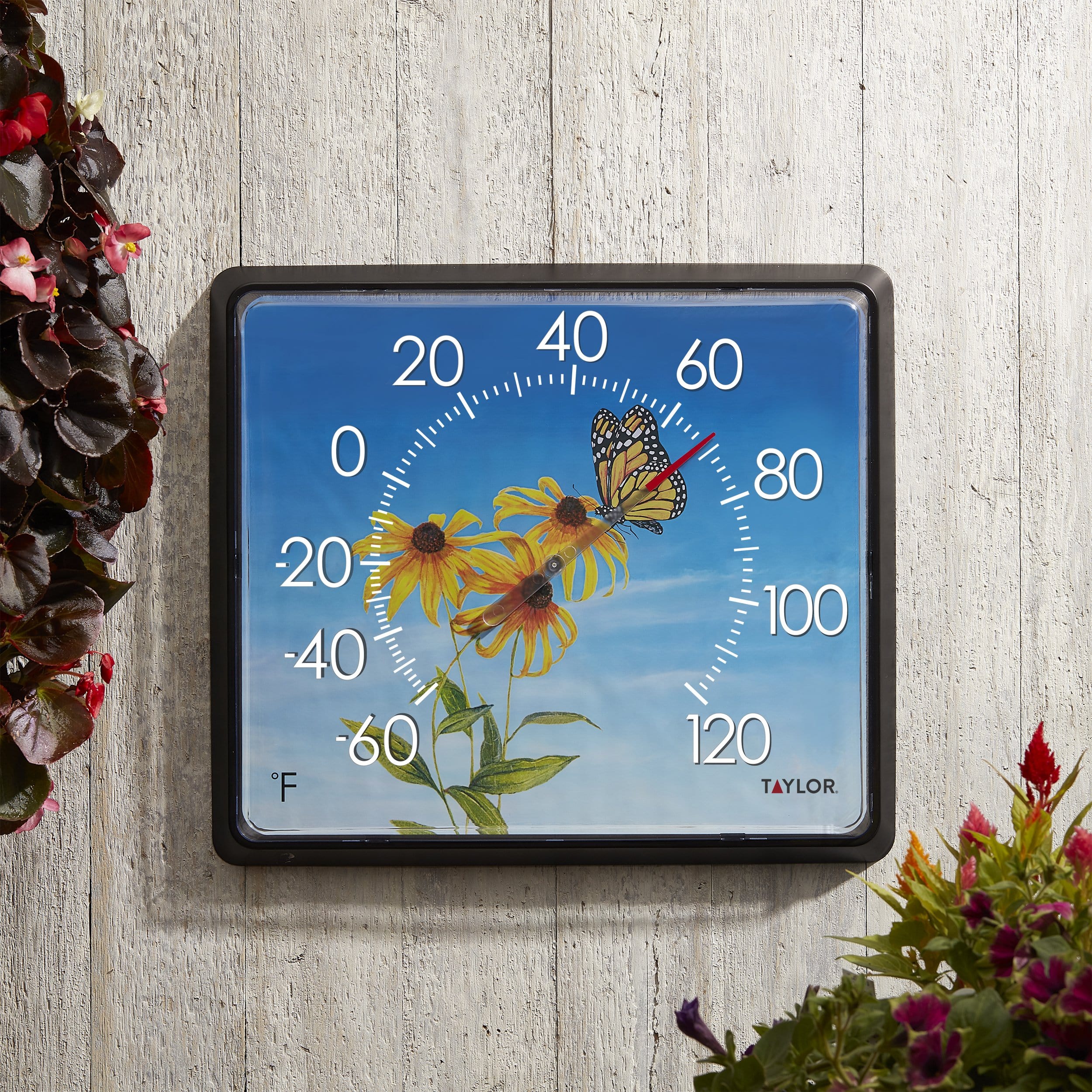 12 x 14 Inch Dial Thermometer with Butterfly Design - Accurate Temperature Gauge for Home, Kitchen, Greenhouse & Outdoor Use