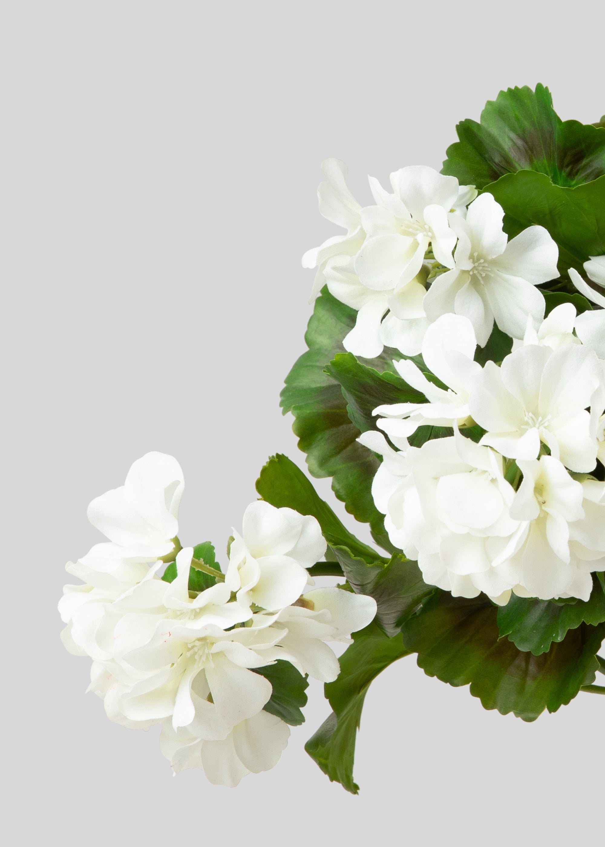 UV-Resistant White Geranium Bush - Natural Touch for Indoor & Outdoor Decor - Perfect for Gardens, Patios, and Home Landscaping