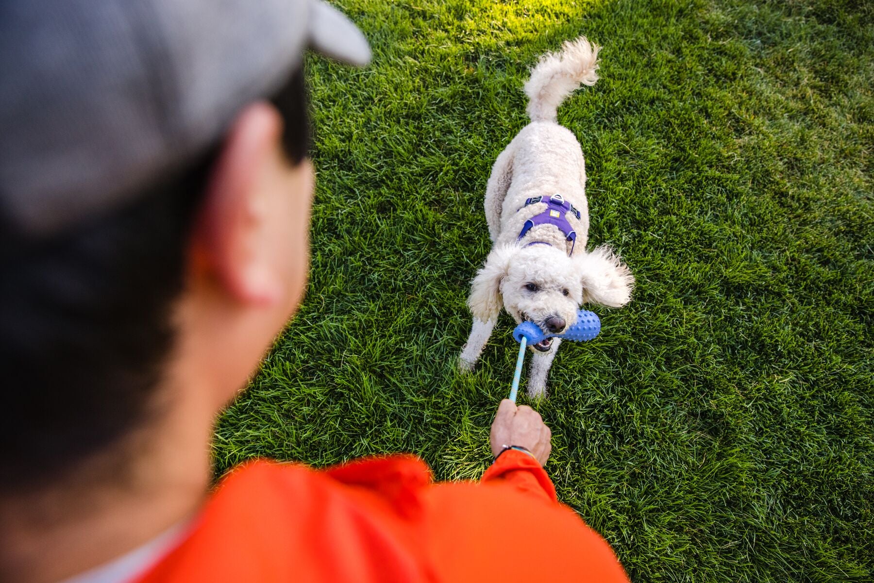 Ruffwear Gourdo Purple Rubber Dog Toy with Rope - Durable Chew Toy for Aggressive Chewers, Interactive Play & Training - Perfect for Fetch, Tug-of-War & Outdoor Adventures (Heliotrope Purple)