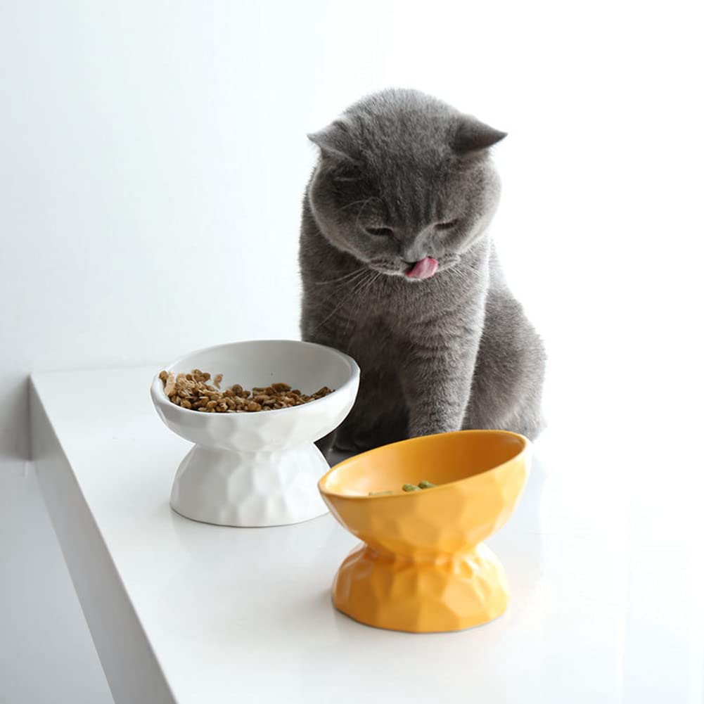 Elevated Cat Food Bowls for Indoor Cats - Ceramic Tilted Raised Cat Dish with Non-Slip Base | Promotes Healthy Digestion & Spine Support | Easy Clean Pet Feeding Bowl for Wet/Dry Food & Water - Perfect for Kittens, Adult & Senior Cats