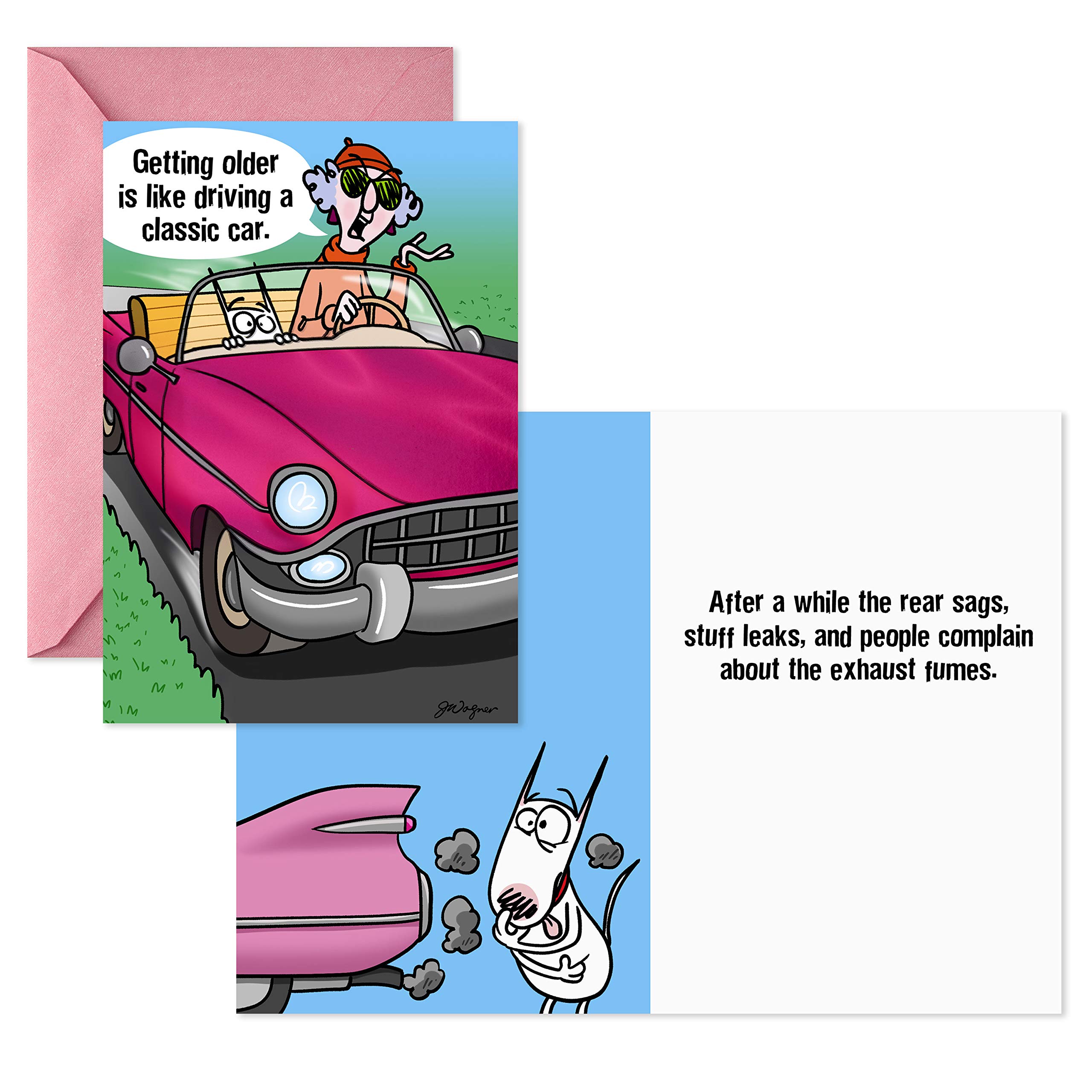 Hallmark Maxine Funny Birthday Cards Assortment - 5 Pack with Envelopes | Humorous Greeting Cards for Friends & Family | Perfect for Birthdays, Parties & Special Occasions