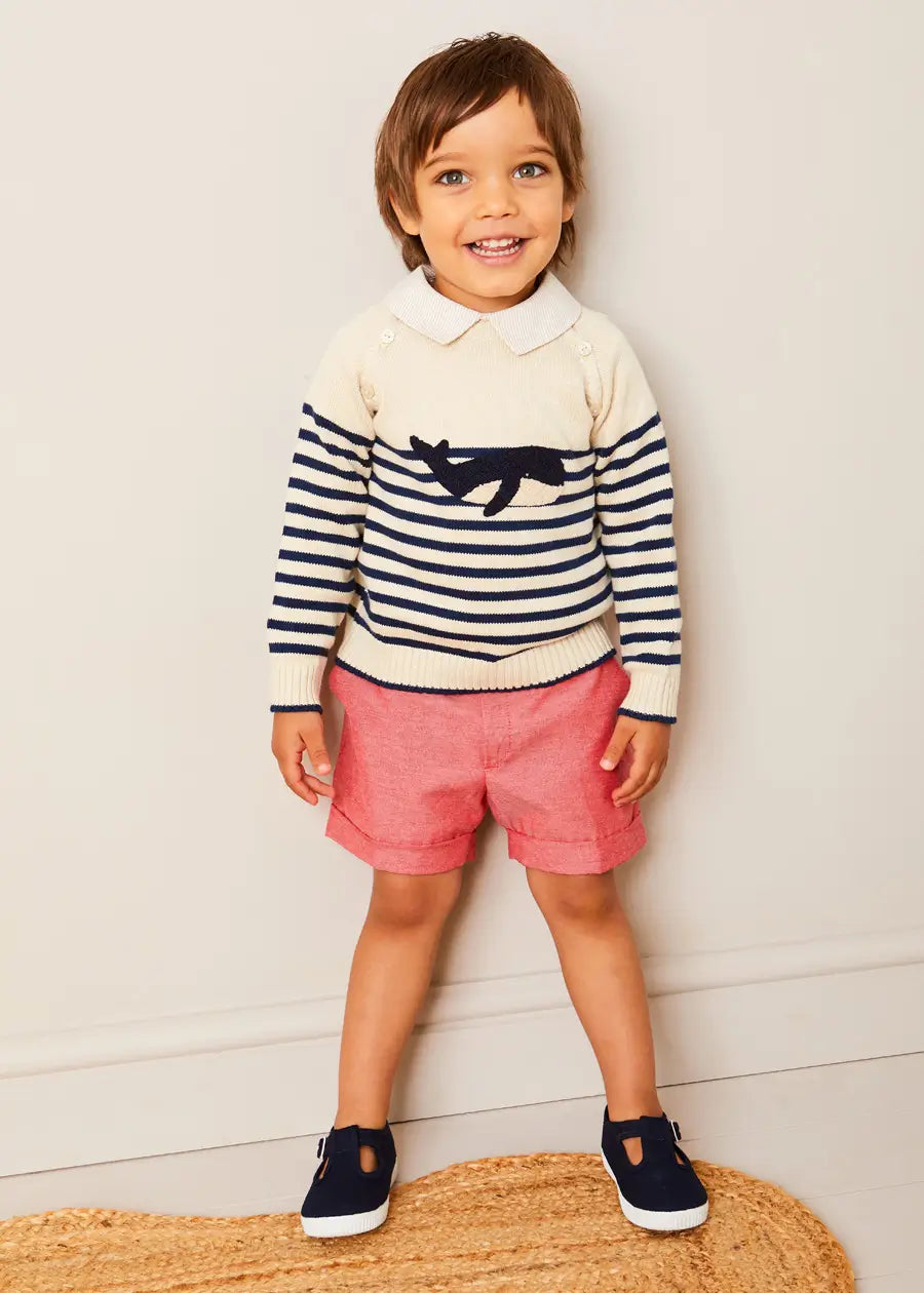 Whale Striped Jumper for Toddler Boys - Soft Cotton Knit Sweater - Cute Casual Outfit for Playdates & Family Photos