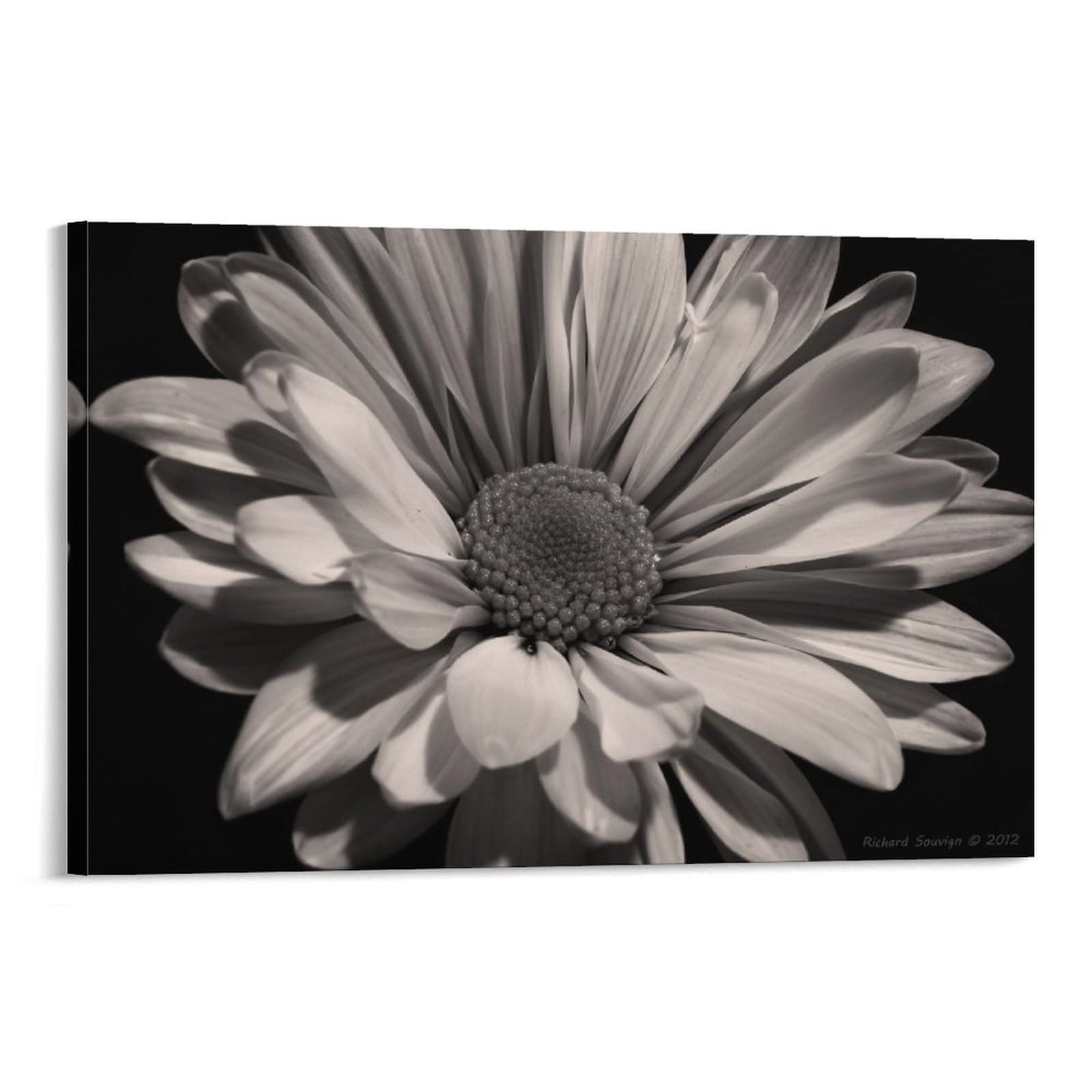90s Aesthetic Plant Poster - Black & White Petal Wall Art Canvas Print 24x36 Inch (60x90cm) - Vintage Room Decor for Bedroom, Living Room & Office - Framed Wall Painting Gift Idea