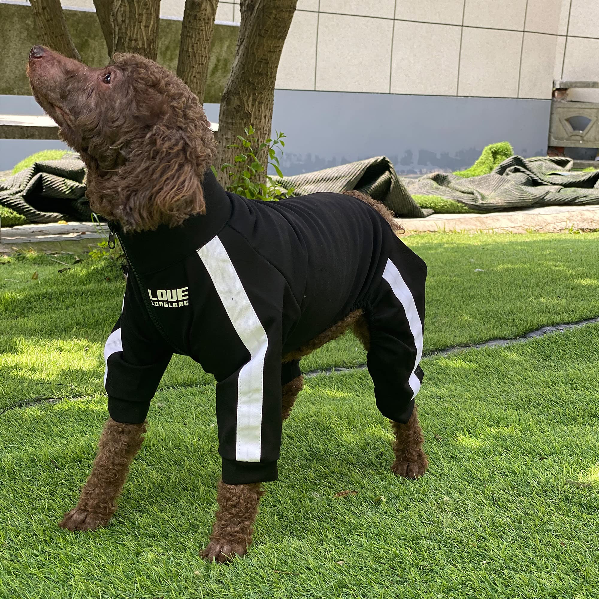 Zipper Dog Sweatshirt - 4-Legs Covered Sport Suit for Small Medium Large Dogs | Breathable Comfortable Dog Sweater in Black | Perfect for Outdoor Adventures, Jogging & Cold Weather Protection