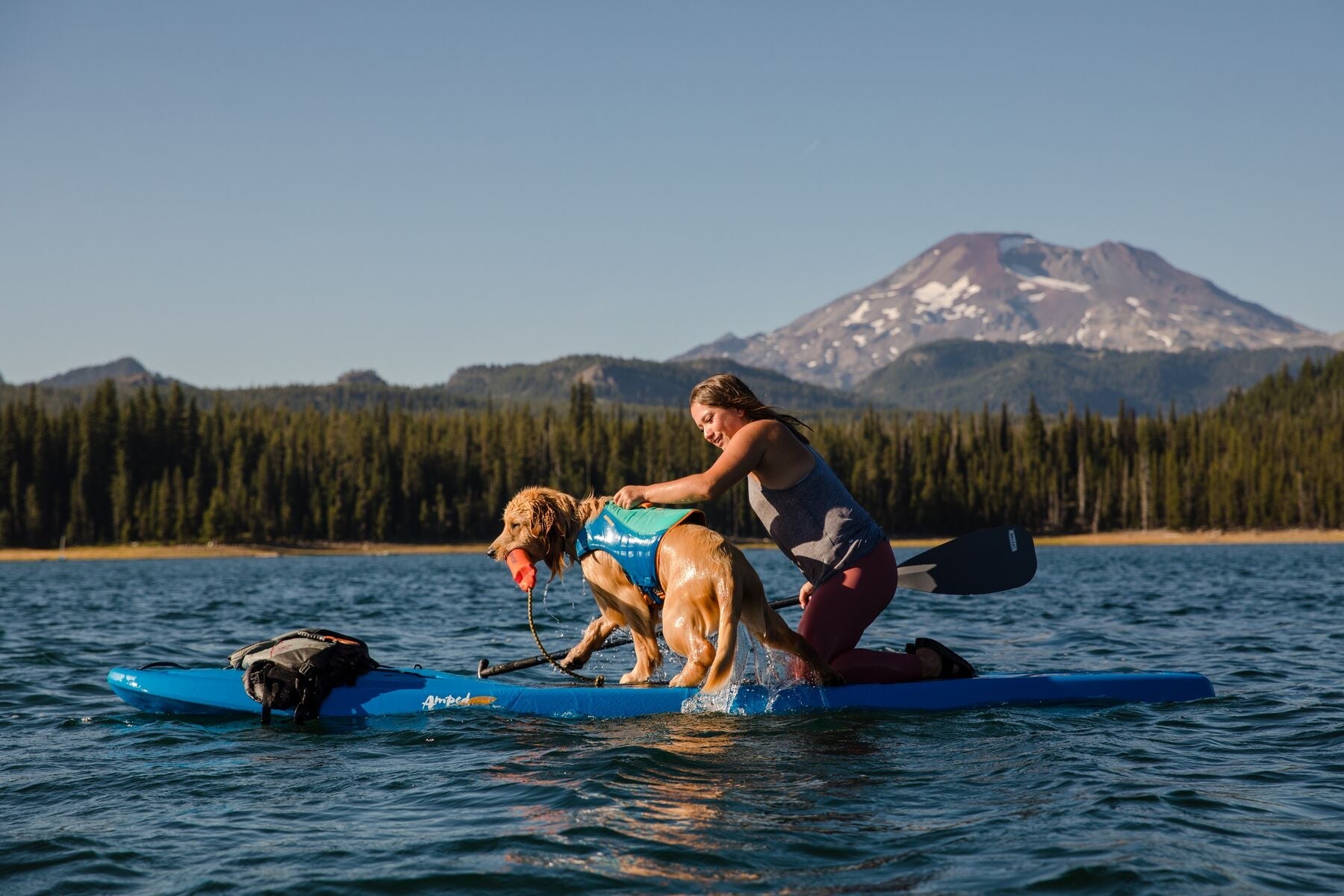 Lunker® Foam Water Toy for Dogs - Purple Orchid | Ruffwear® - Perfect for Pool, Beach & Outdoor Play