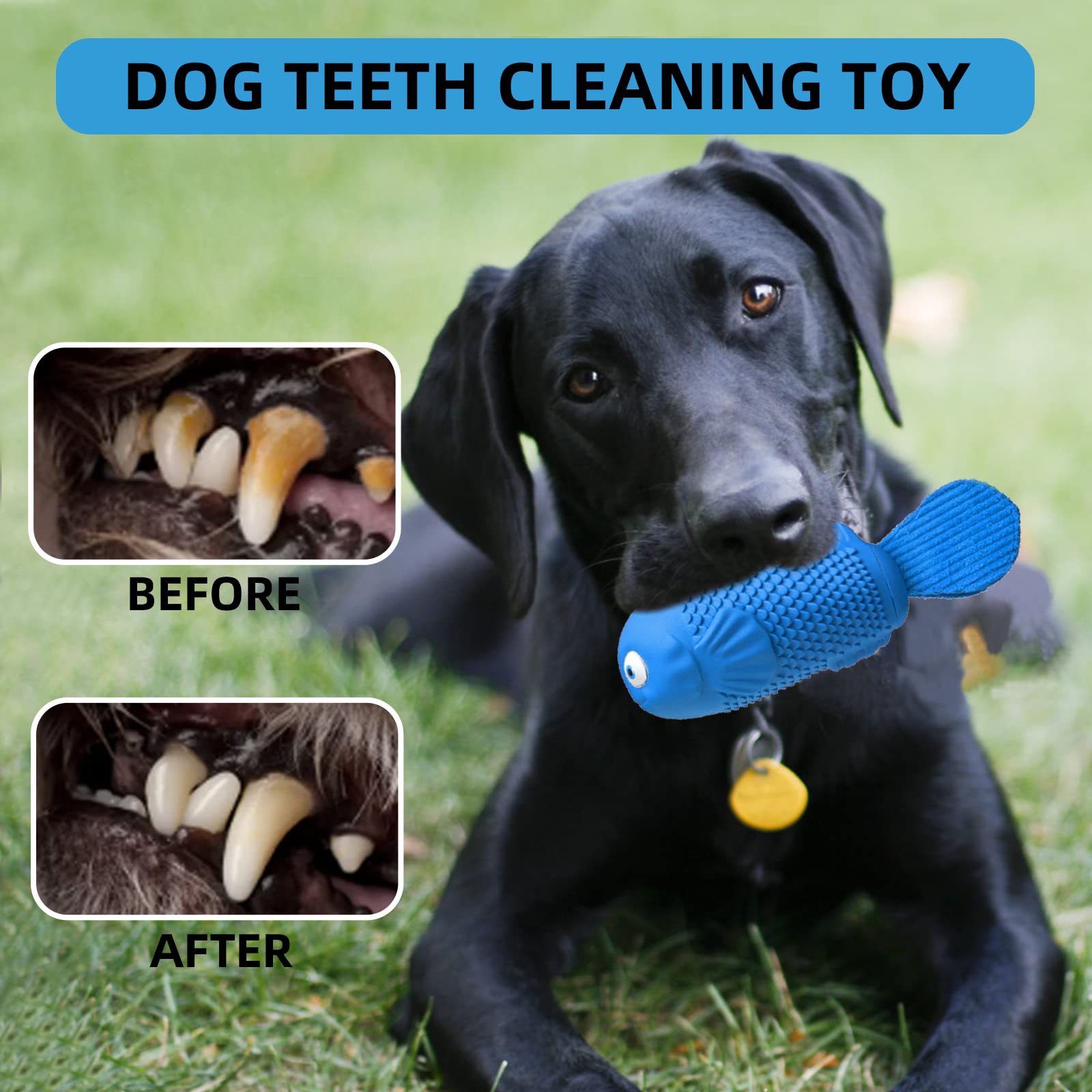 WinTour Durable Indestructible Dog Chew Toys for Aggressive Chewers - Squeaky Bacon-Flavored Tough Toys for Medium & Large Breed Dogs - Perfect for Teething, Boredom Relief & Playtime