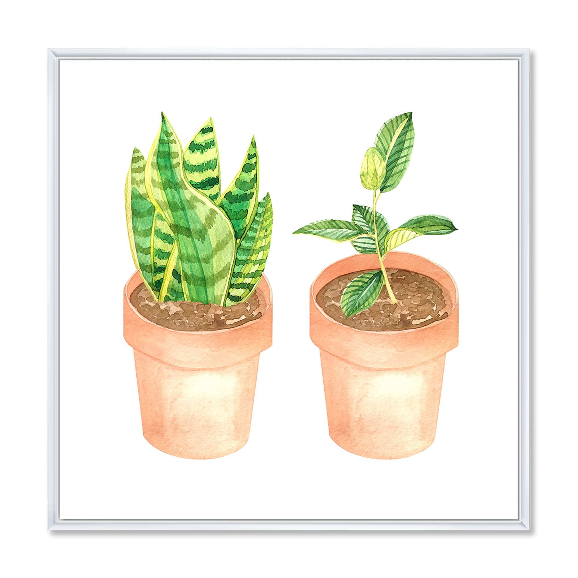 DesignQ Sansevieria & Ficus Indoor Plants - Traditional Framed Canvas Wall Art Print for Home Decor | Perfect for Living Room, Bedroom & Office