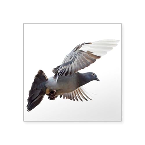 Clear - Pigeon Fly to Love Joy Peace Sticker