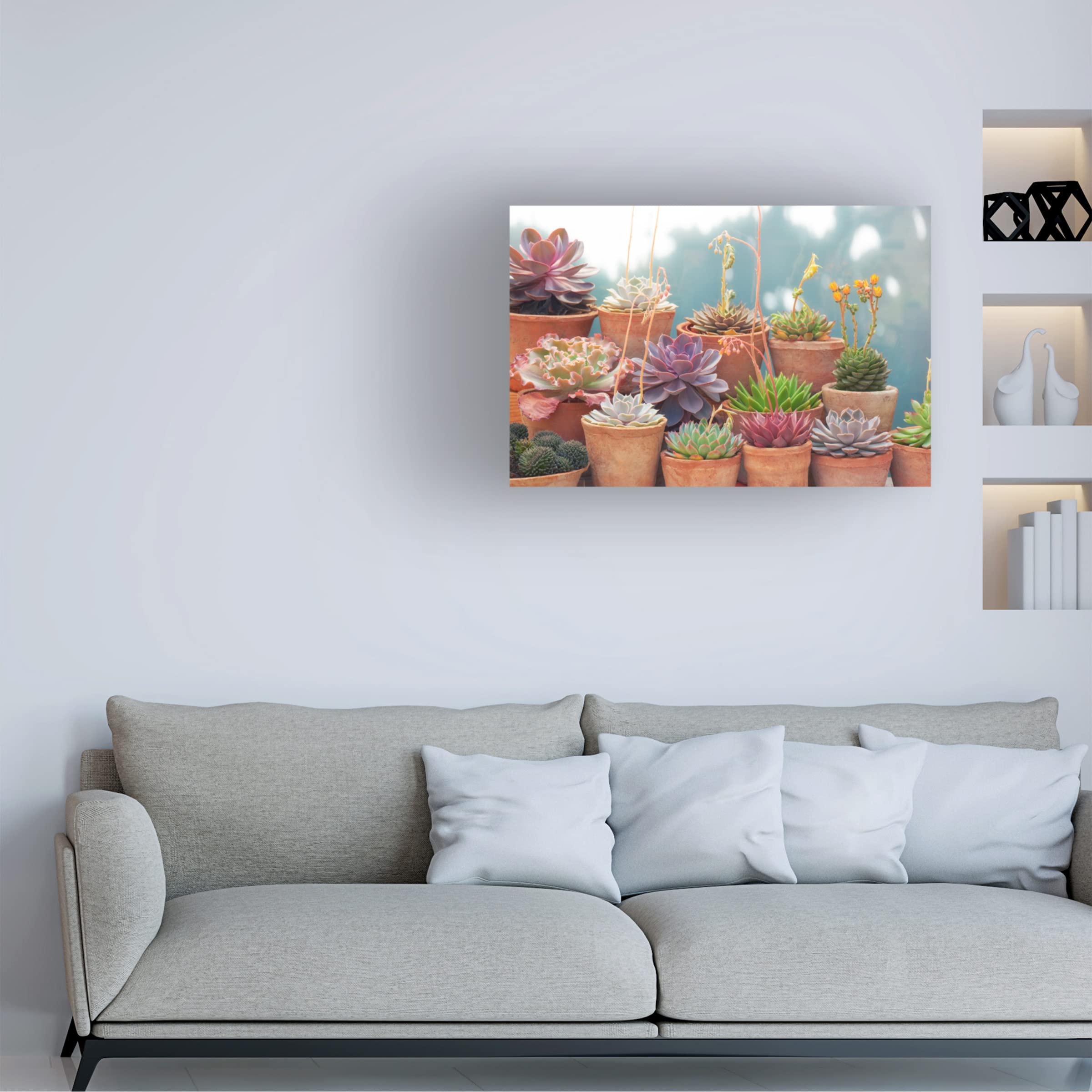 Trademark Fine Art 'Succulents in Terracotta Pots II' Canvas Wall Art by Cora Niele - Perfect for Home Decor, Office & Living Room