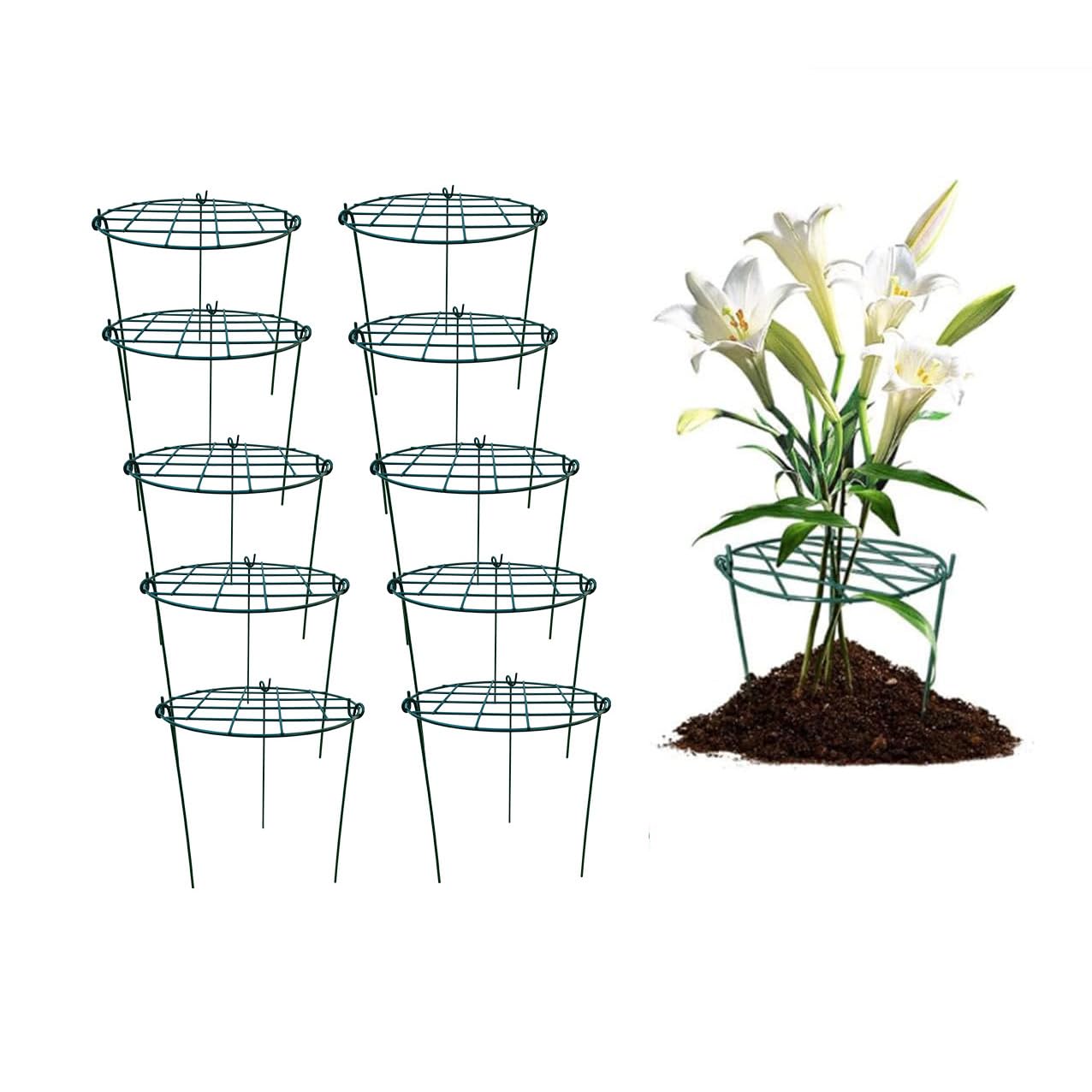 MTB SUPPLY 16x24 Inch Peony Cages & Plant Supports - Pack of 10 Sturdy Grow-Through Flower Rings for Outdoor Gardens, Vegetables, and Climbing Plants | Perfect for Tomatoes, Peonies, and Heavy Blooms