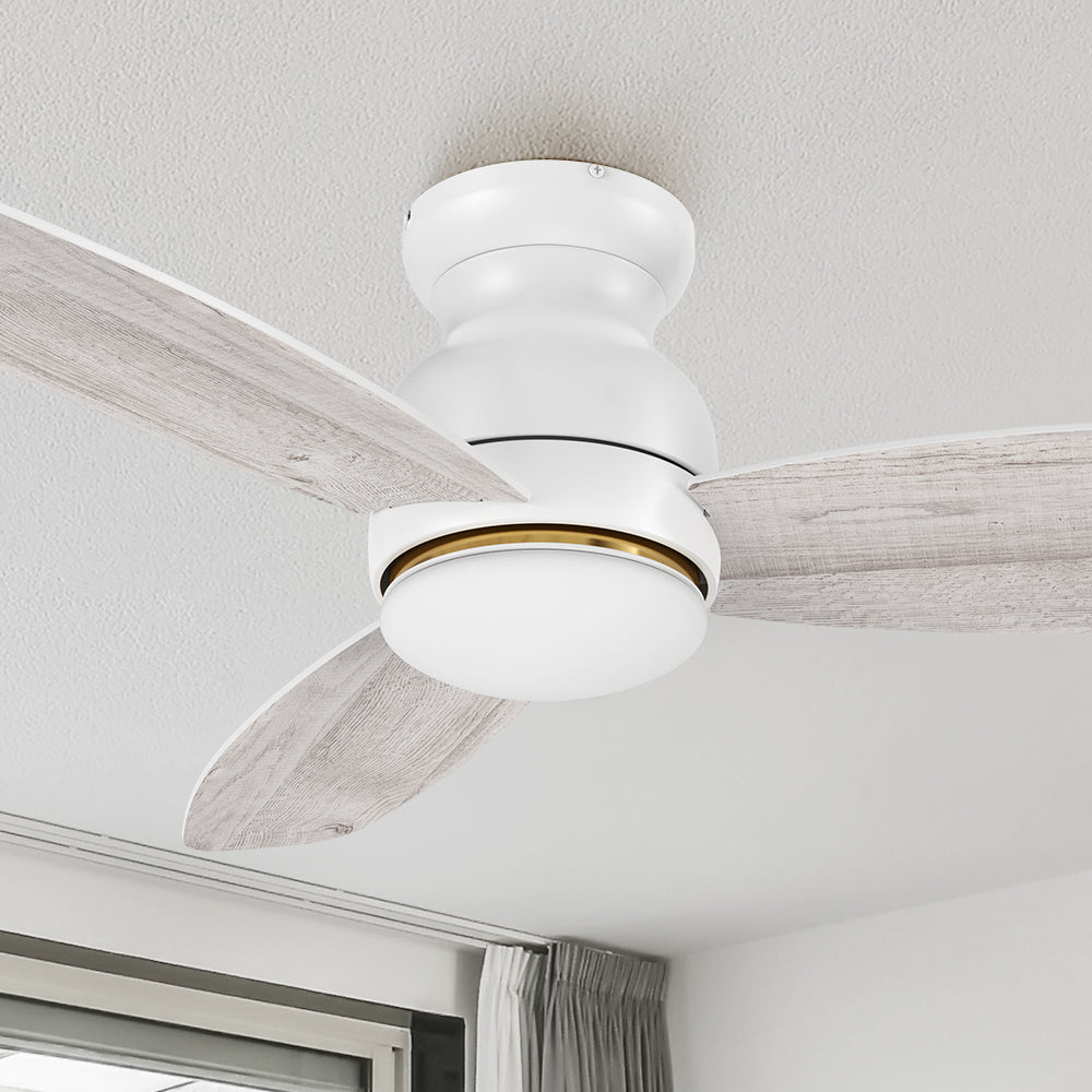 White Light Wood