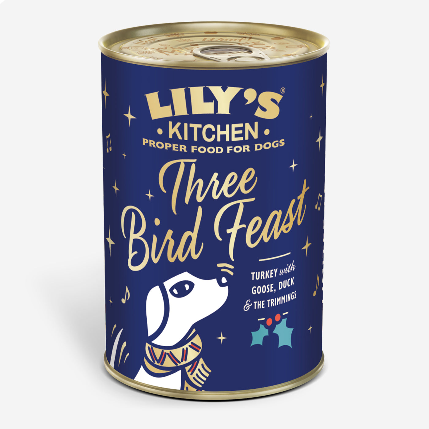 Lily's Kitchen Christmas Three Bird Feast for Dogs 400g - Premium Holiday Dog Food with Turkey, Duck & Chicken - Perfect for Festive Meals & Special Occasions