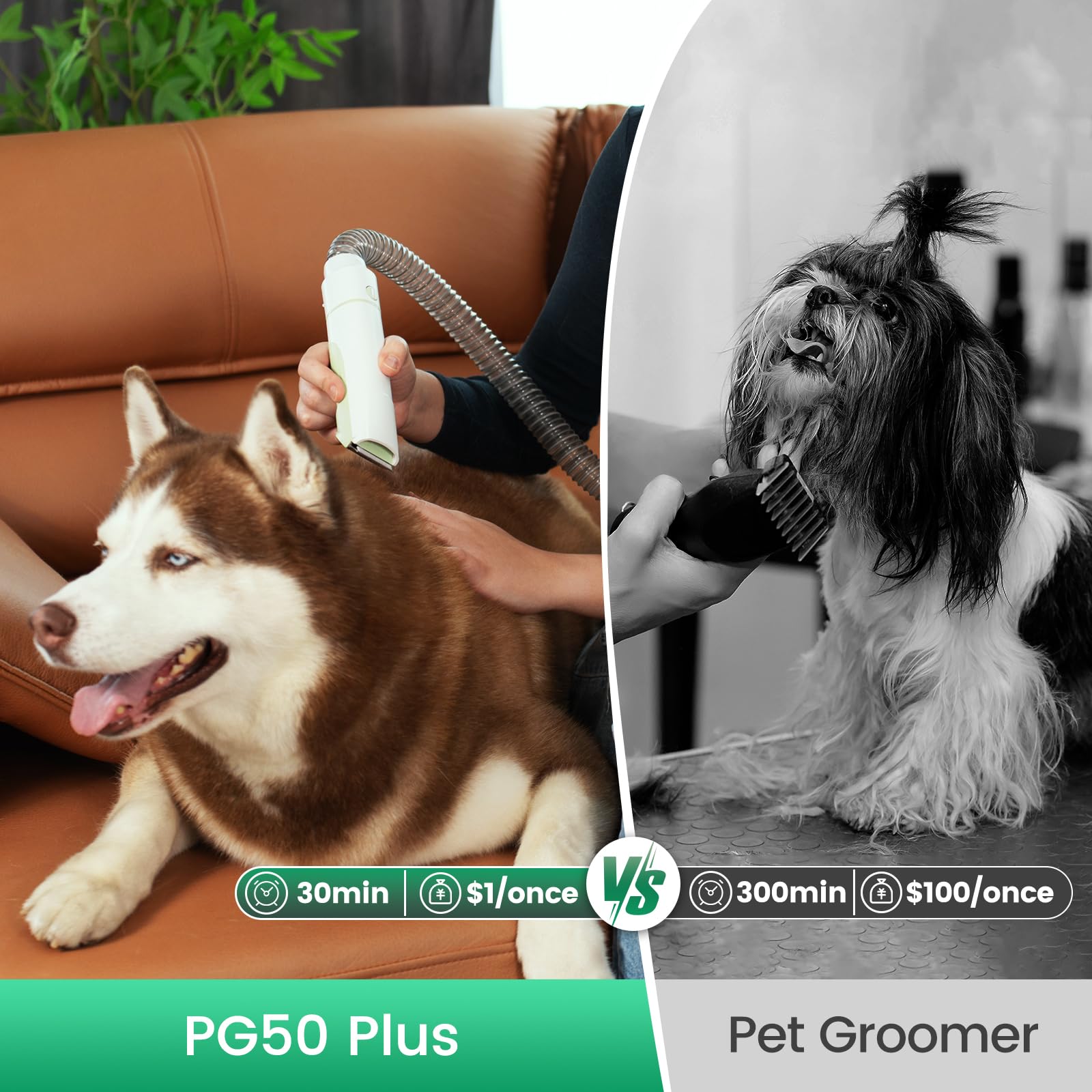 Dog Grooming Vacuum with 7 Tools & 2.5L Dust Cup - 11000Pa Pet Hair Vacuum for Shedding, Nail Trimming & Home Cleaning | Perfect for Dog Grooming & Household Pet Care (PG50 Plus)