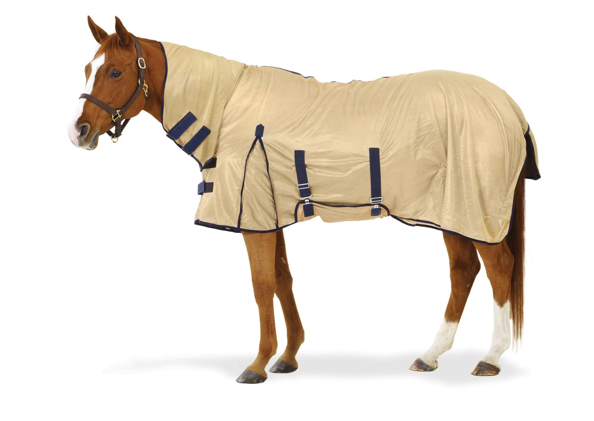 Equi-Essentials Softmesh Combo Fly Sheet with Belly Band - Breathable Horse Fly Protection for Summer Riding & Outdoor Activities