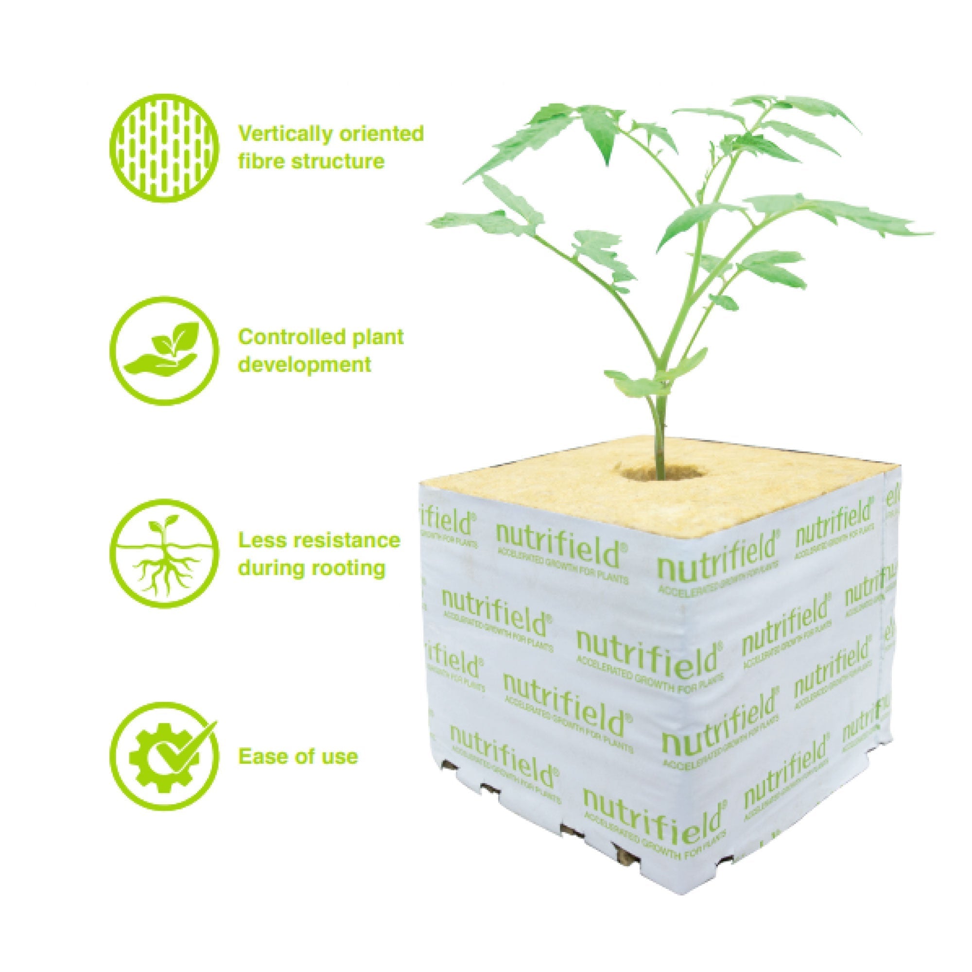 Nutrifield 6-Pack Stonewool Growing Blocks (100x100x65mm) - Hydroponic Seed Starter Cubes for Plant Propagation, Indoor Gardening & Vertical Farming